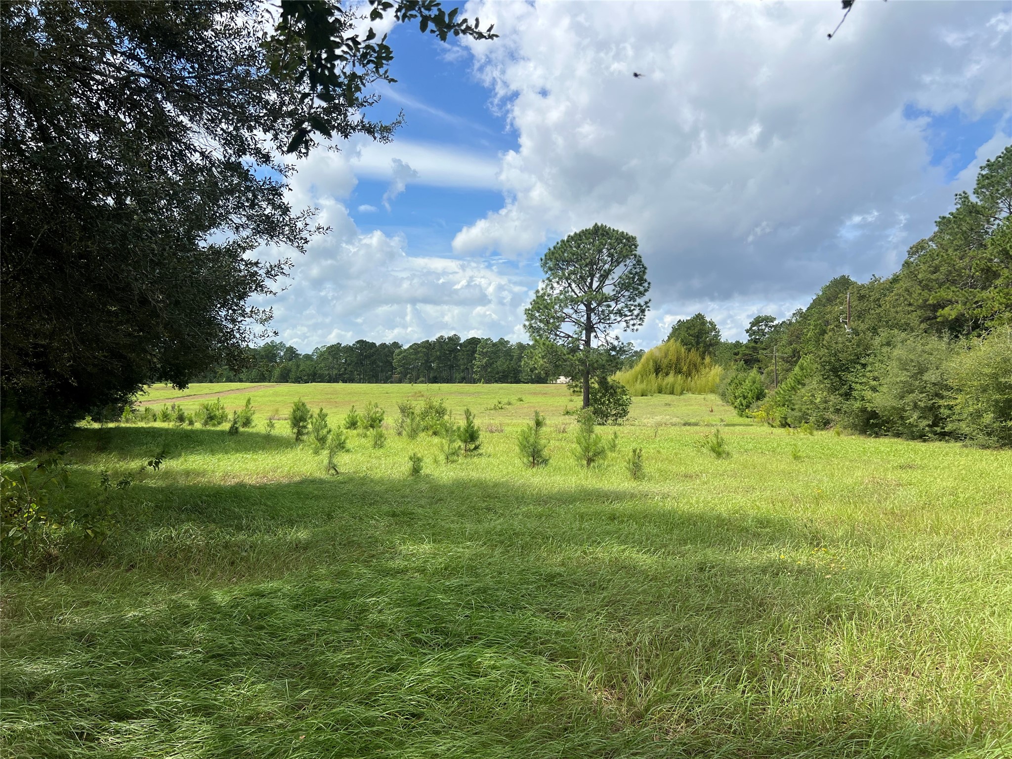 Tbd Private Road 8309 Property Photo 3