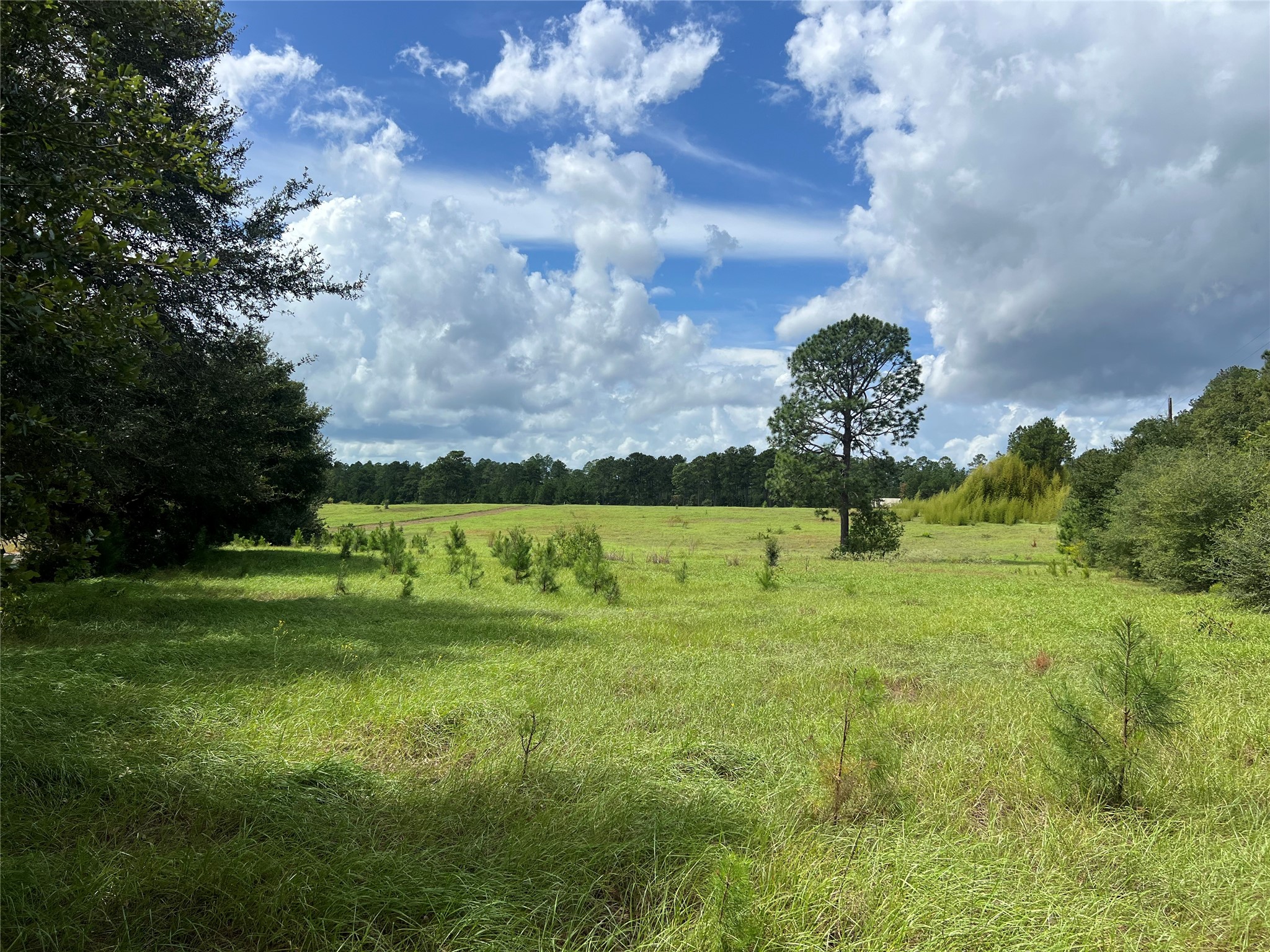 Tbd Private Road 8309 Property Photo 4