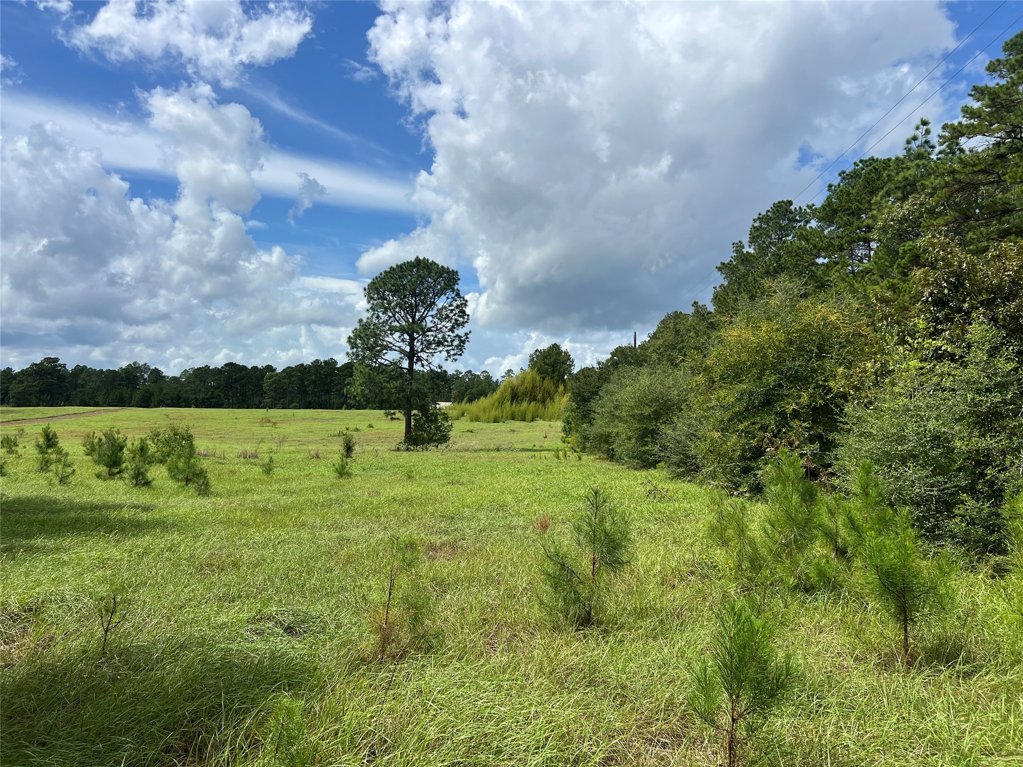 Tbd Private Road 8309 Property Photo 5