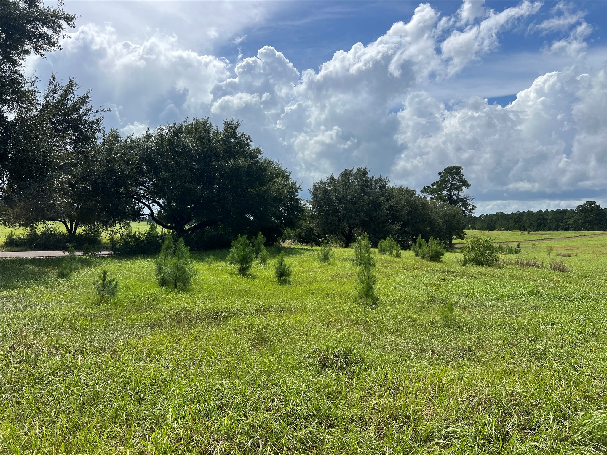 Tbd Private Road 8309 Property Photo 6