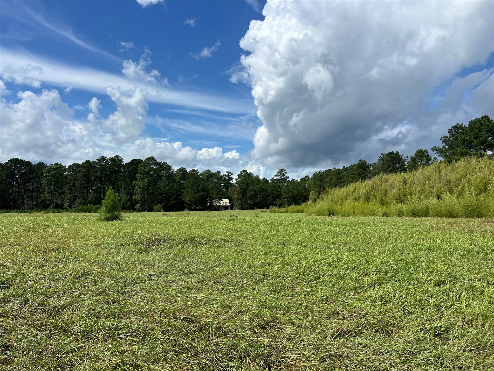 Tbd Private Road 8309 Property Photo 7