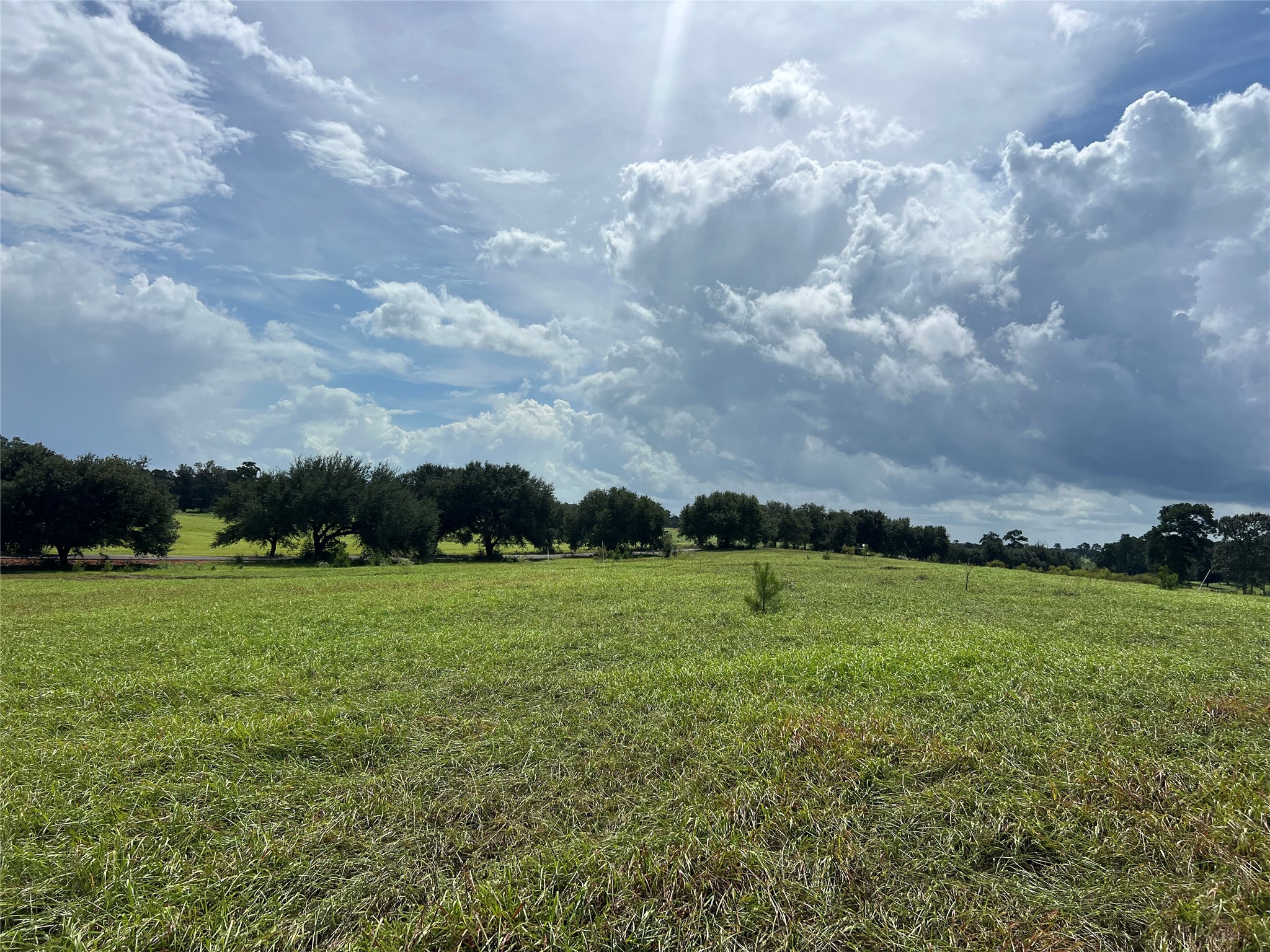 Tbd Private Road 8309 Property Photo 8