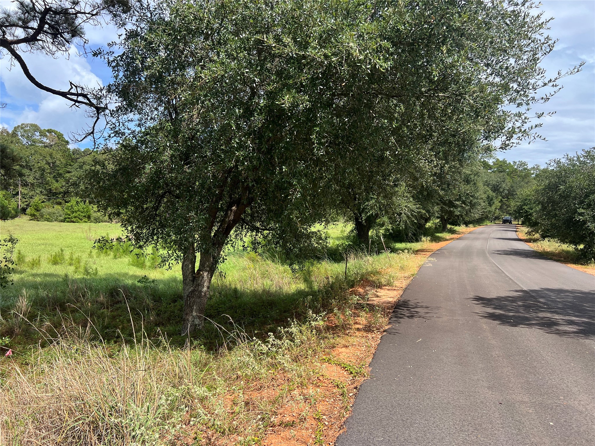 Tbd Private Road 8309 Property Photo 11