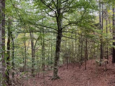 4310 Cr 1090 Property Photo 4