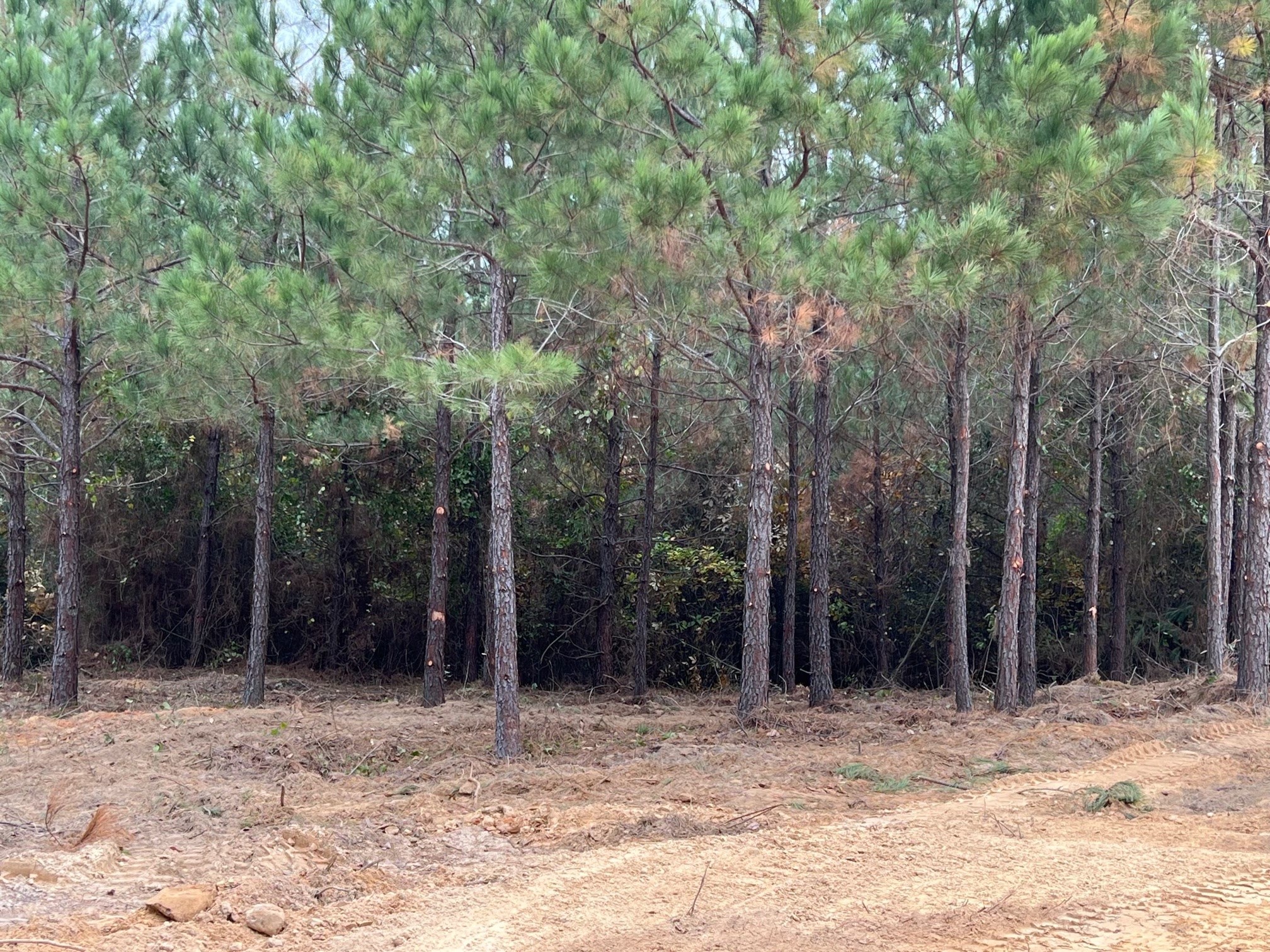 4310 Cr 1090 Property Photo 5