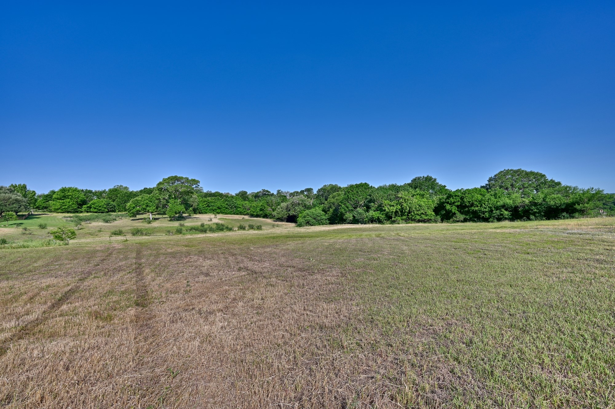 2917 Twisted Oak Drive Property Photo 2