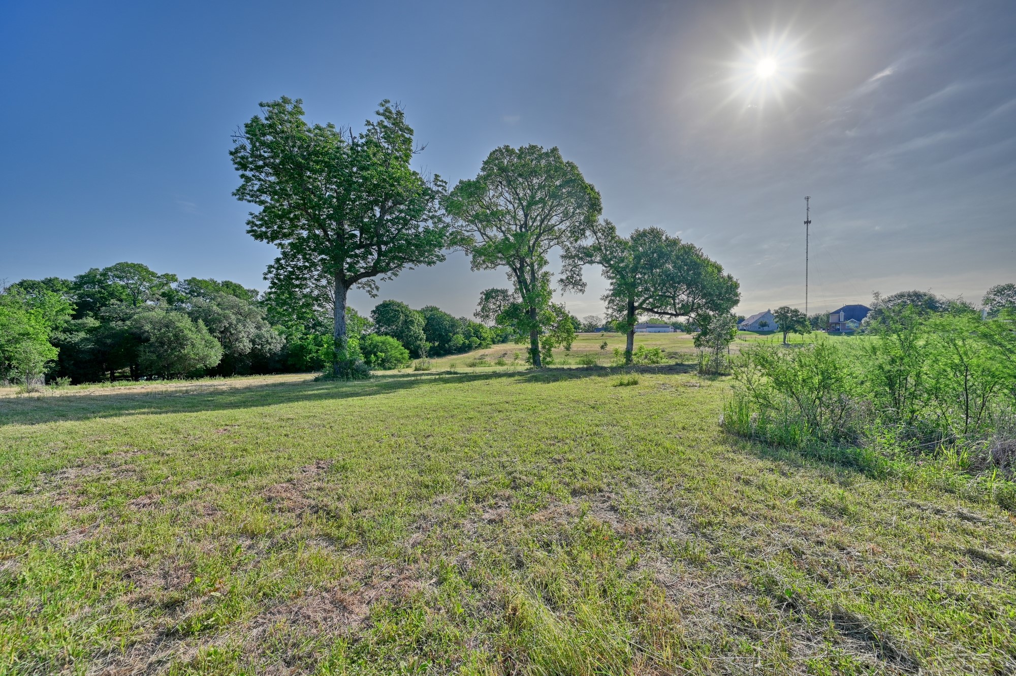 2917 Twisted Oak Drive Property Photo 10