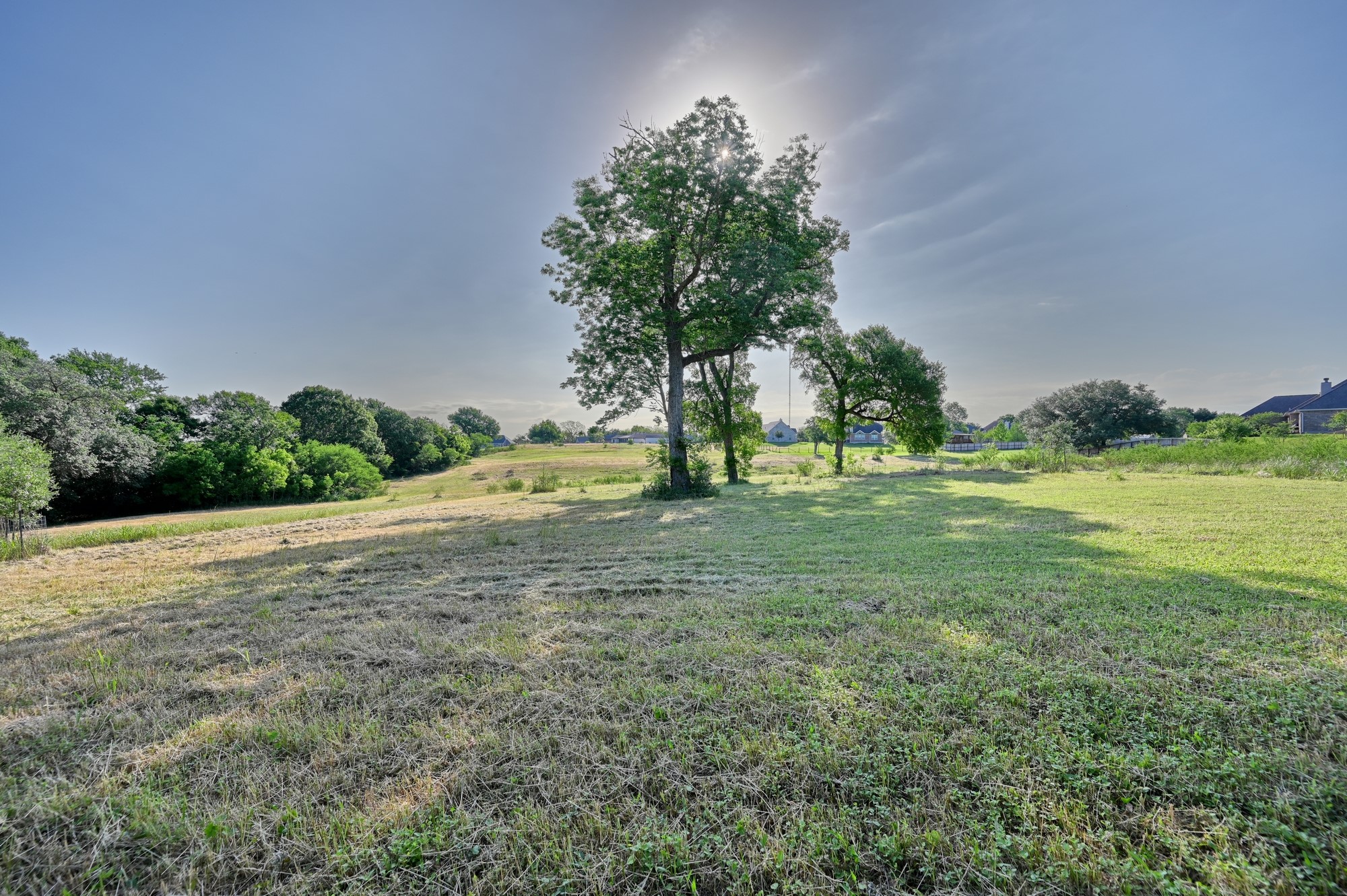 2917 Twisted Oak Drive Property Photo 11