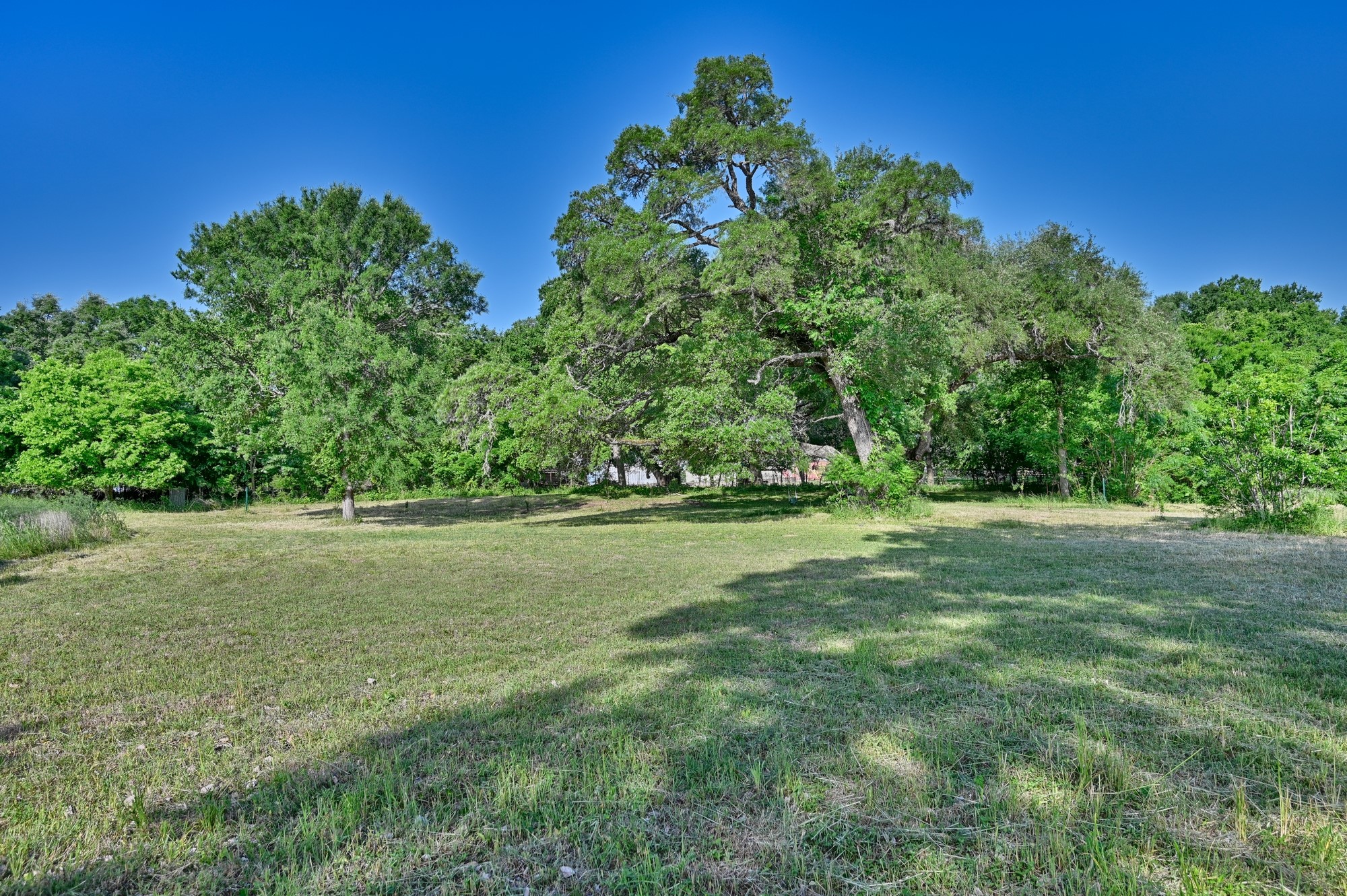 2917 Twisted Oak Drive Property Photo 12