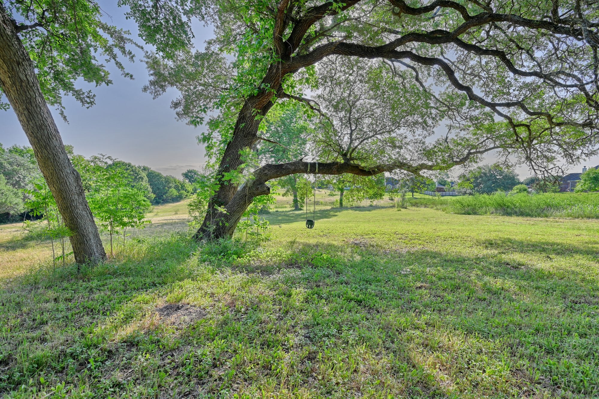 2917 Twisted Oak Drive Property Photo 13