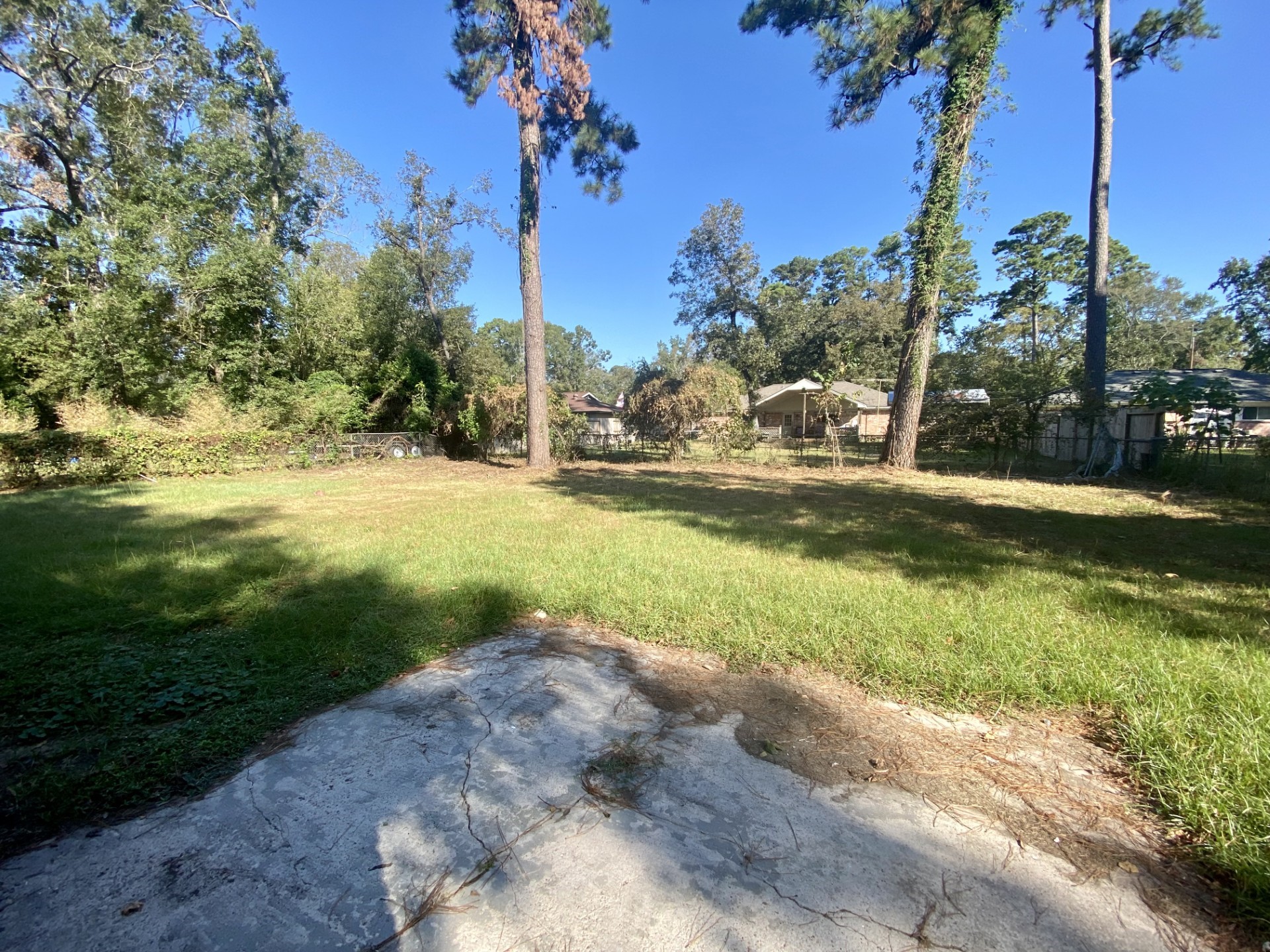3410 Nodding Pines Property Photo 21