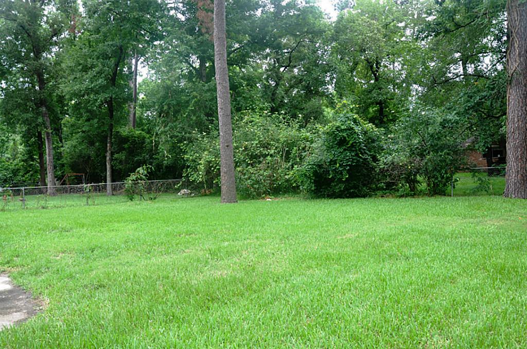 3410 Nodding Pines Property Photo 22