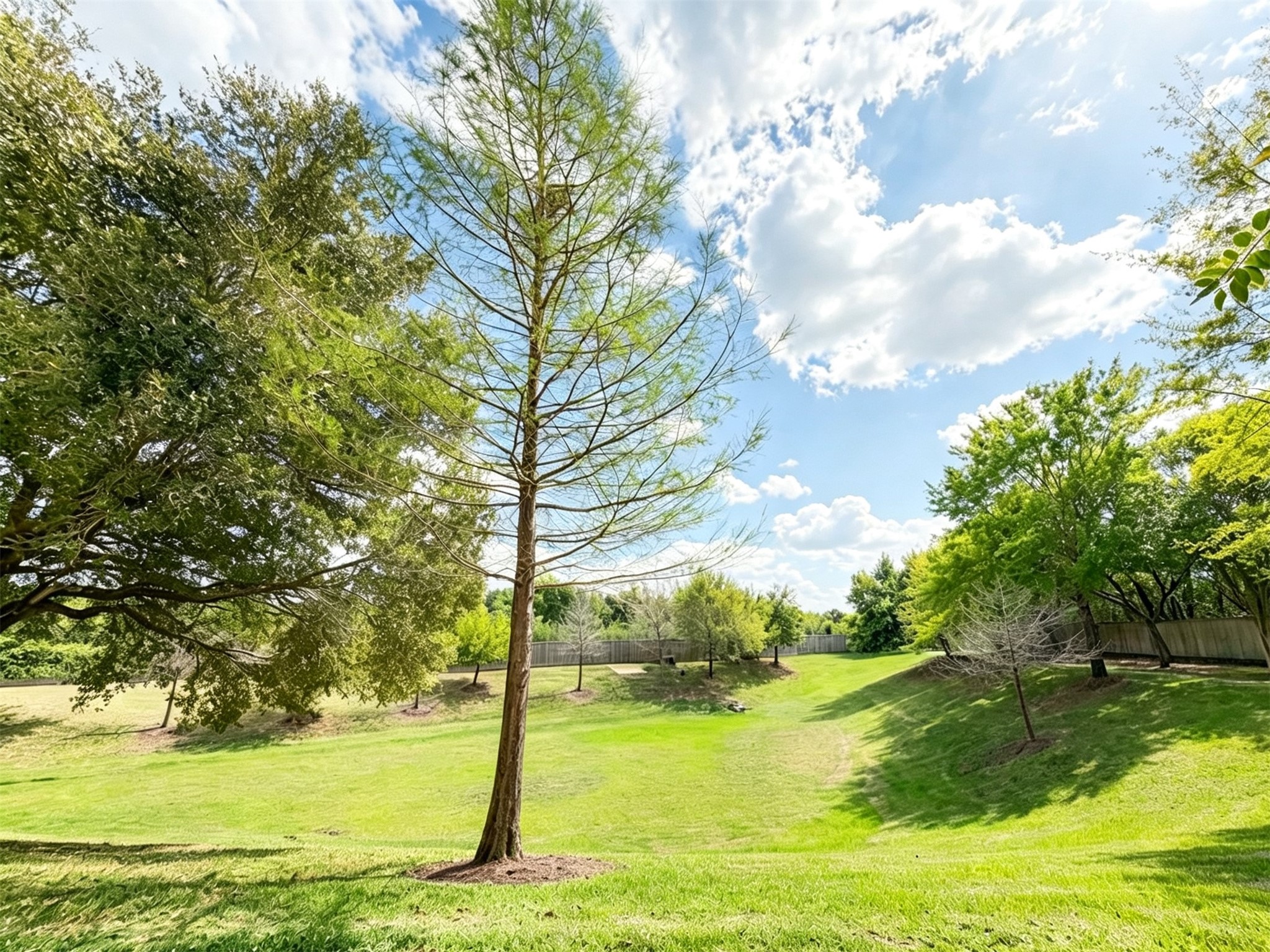 3411 Clearview Circle Property Photo 11