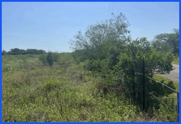 Tr 13 Private Road Property Photo 3