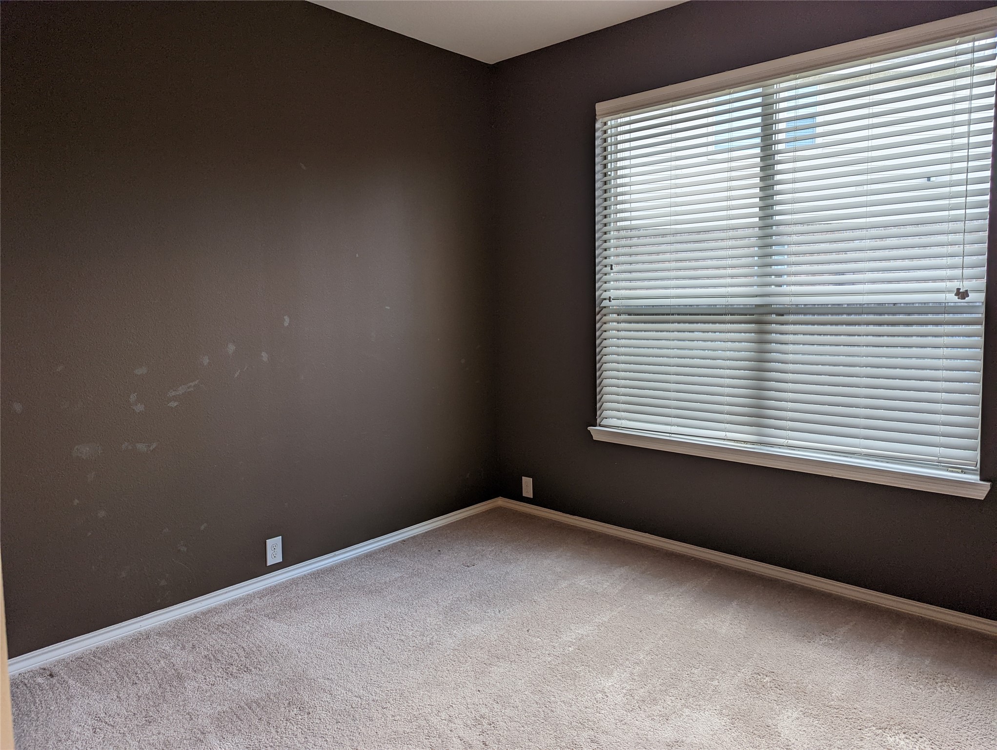 24402 Dartford Springs Lane Property Photo 14