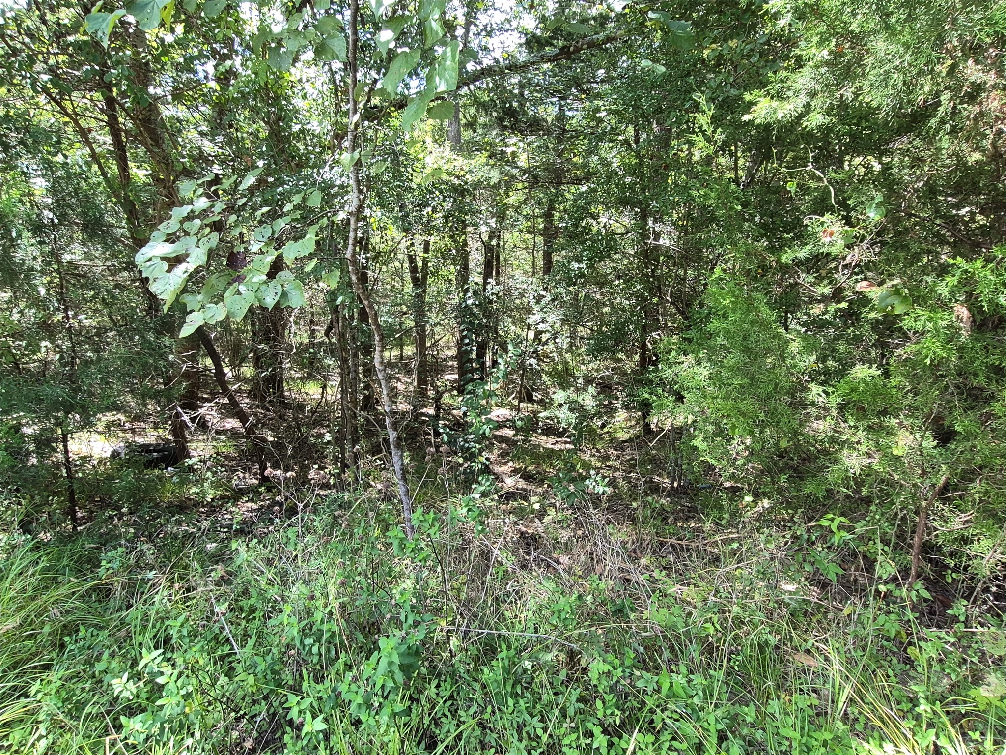 Tbd Arrowhead Hill Dr Property Photo 4
