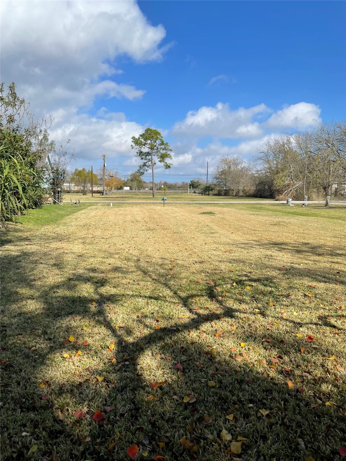 5817 Florida Avenue Property Photo 6