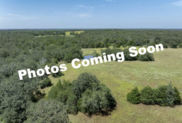 4141 Fm 60 W Property Photo 1