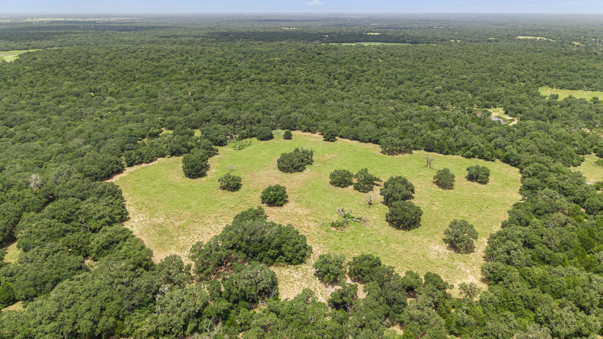 Tbd Cr 117/ Getty Texaco Rd Property Photo 5