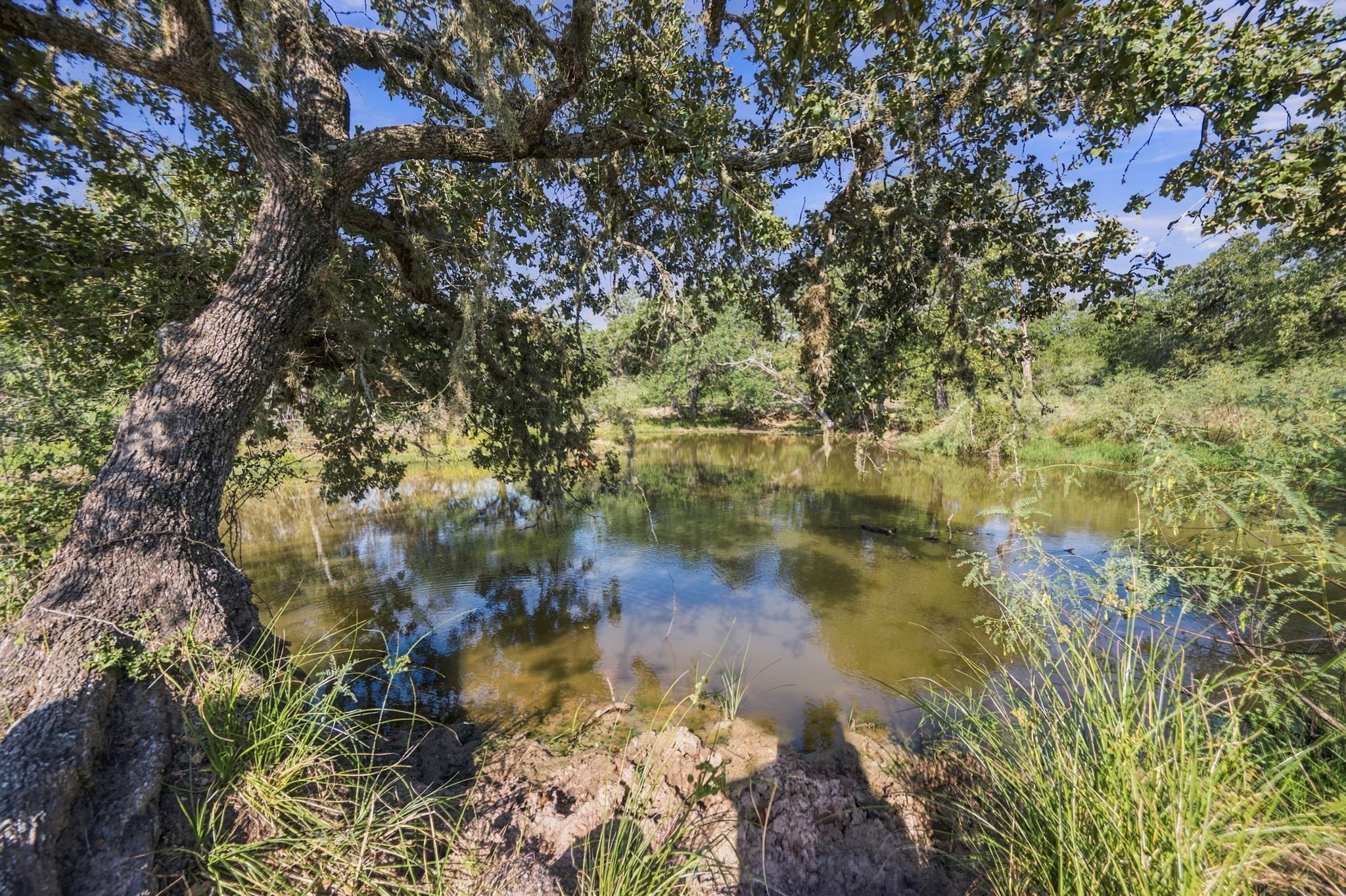 Tbd Cr 117/ Getty Texaco Rd Property Photo 6
