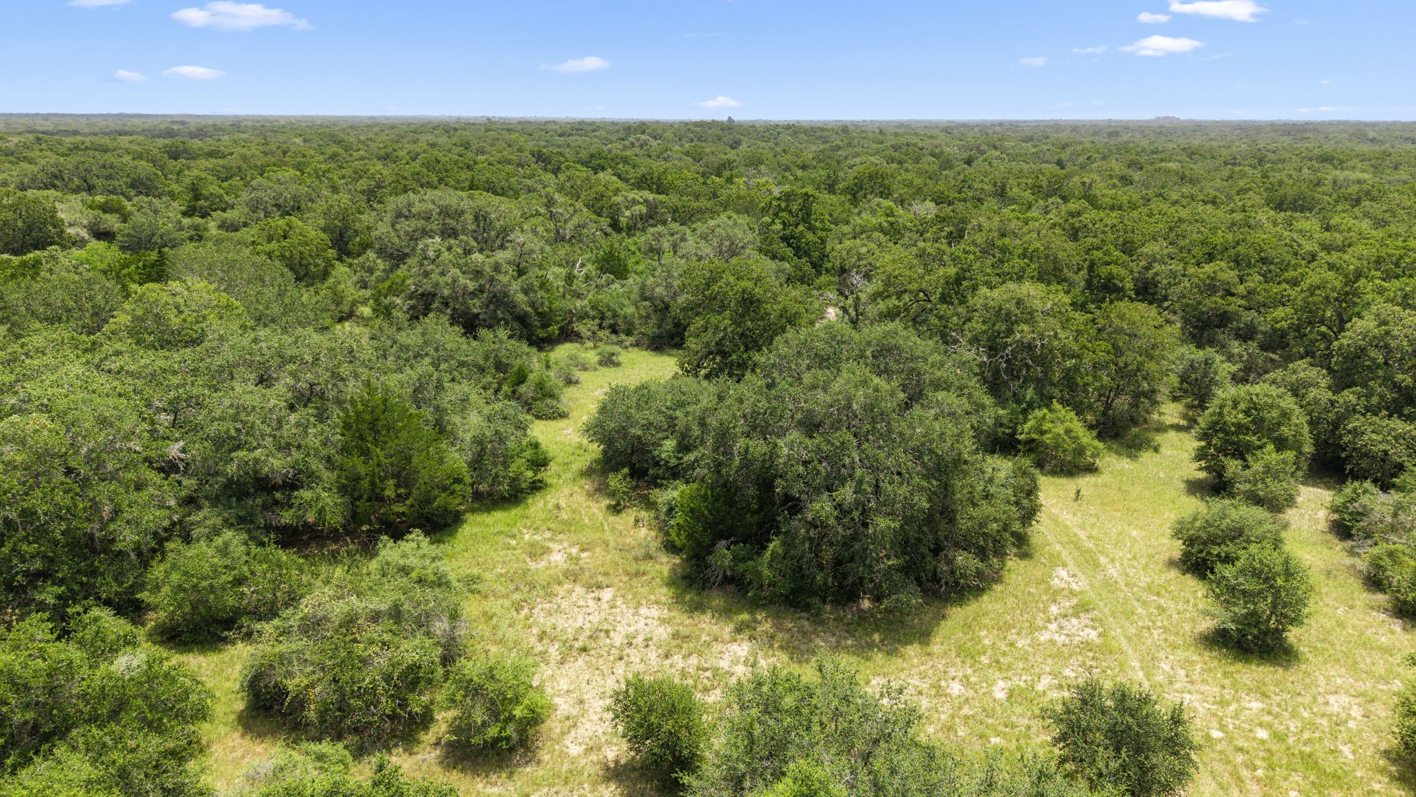 Tbd Cr 117/ Getty Texaco Rd Property Photo 7