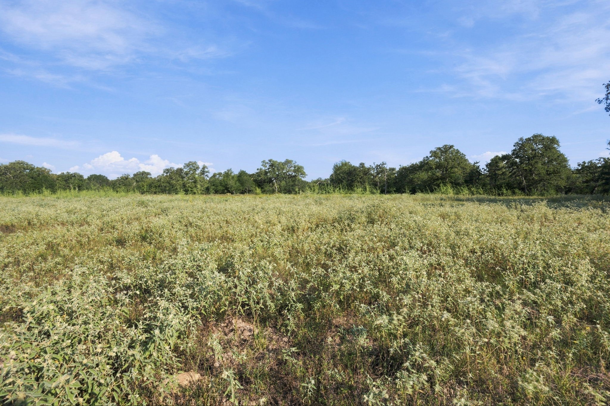 Tbd Cr 117/ Getty Texaco Rd Property Photo 12