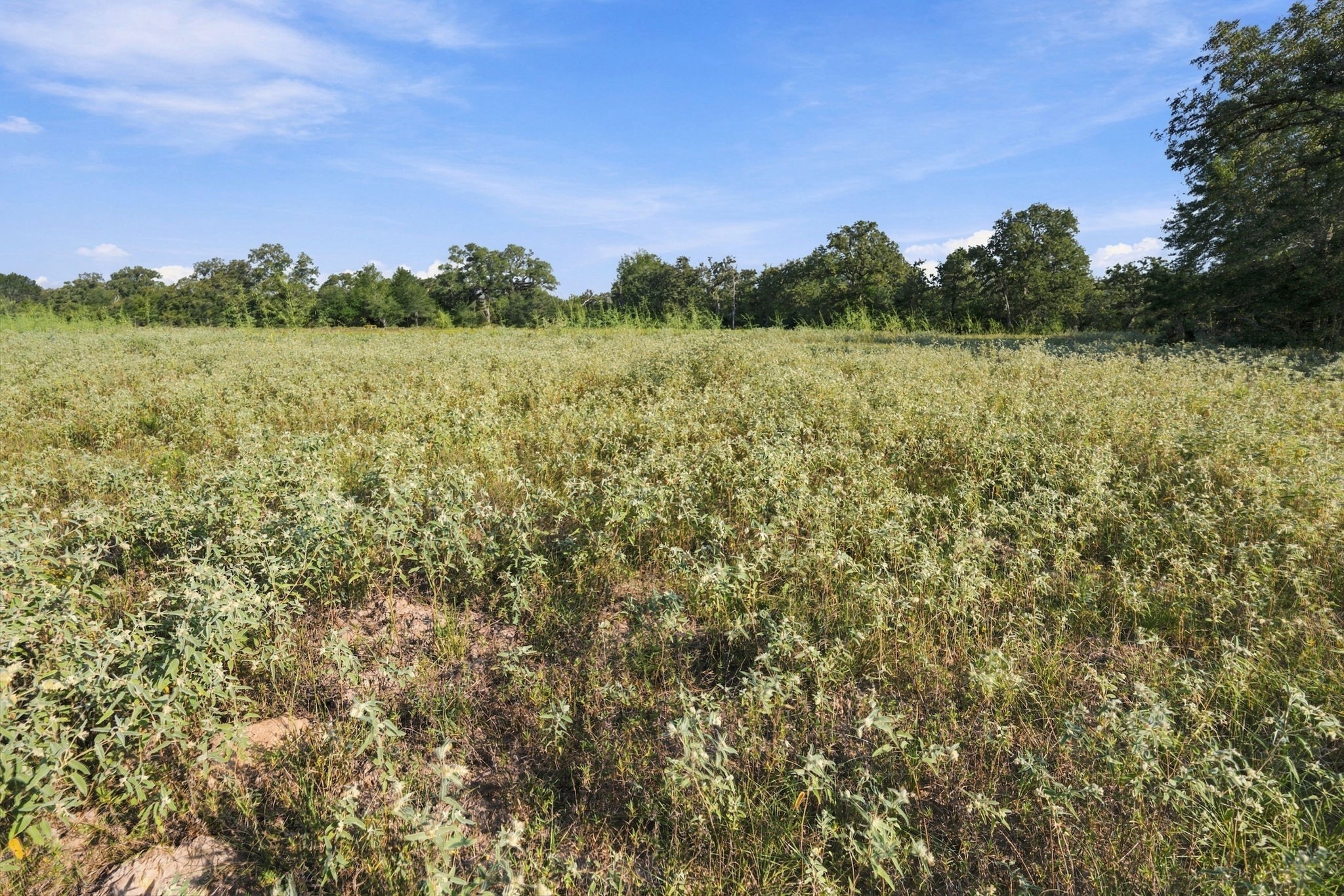 Tbd Cr 117/ Getty Texaco Rd Property Photo 13