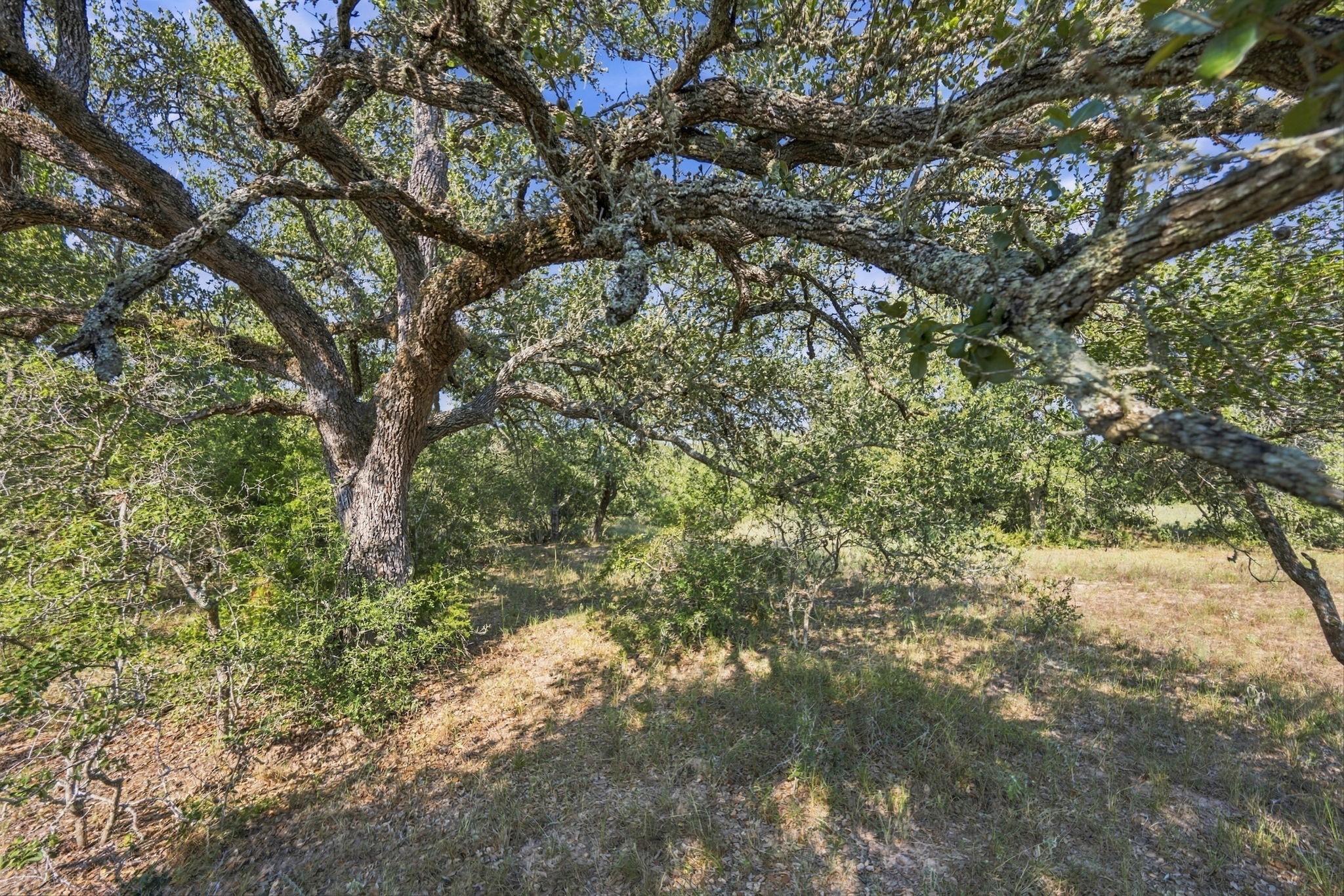 Tbd Cr 117/ Getty Texaco Rd Property Photo 16