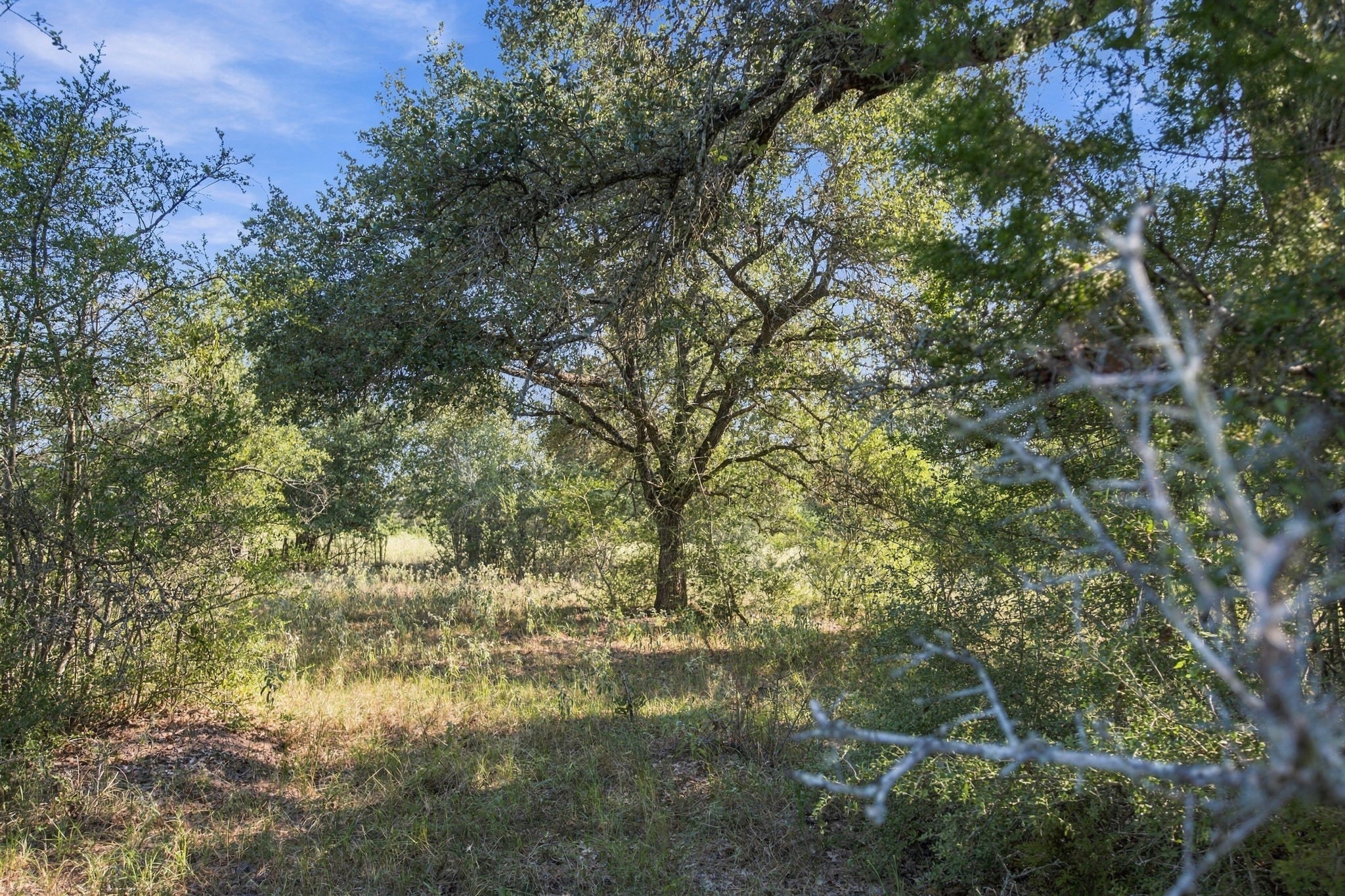 Tbd Cr 117/ Getty Texaco Rd Property Photo 19