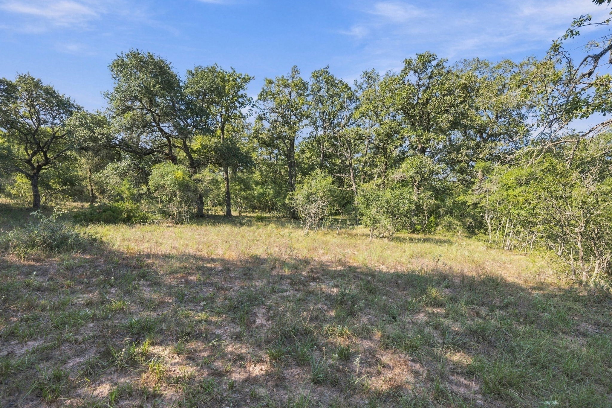 Tbd Cr 117/ Getty Texaco Rd Property Photo 20