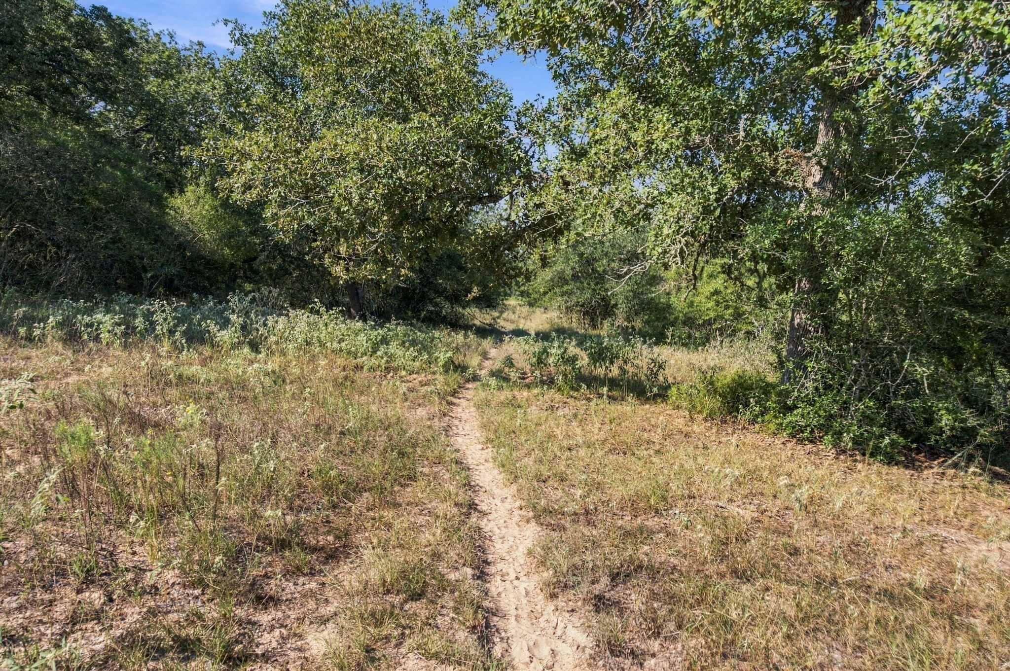 Tbd Cr 117/ Getty Texaco Rd Property Photo 21