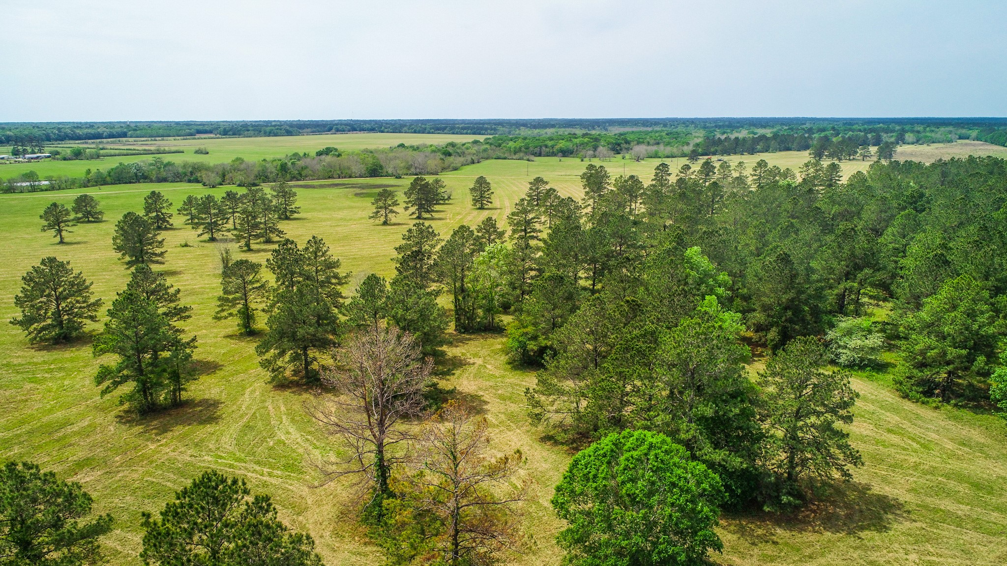 40902 Sh 105 Property Photo 5