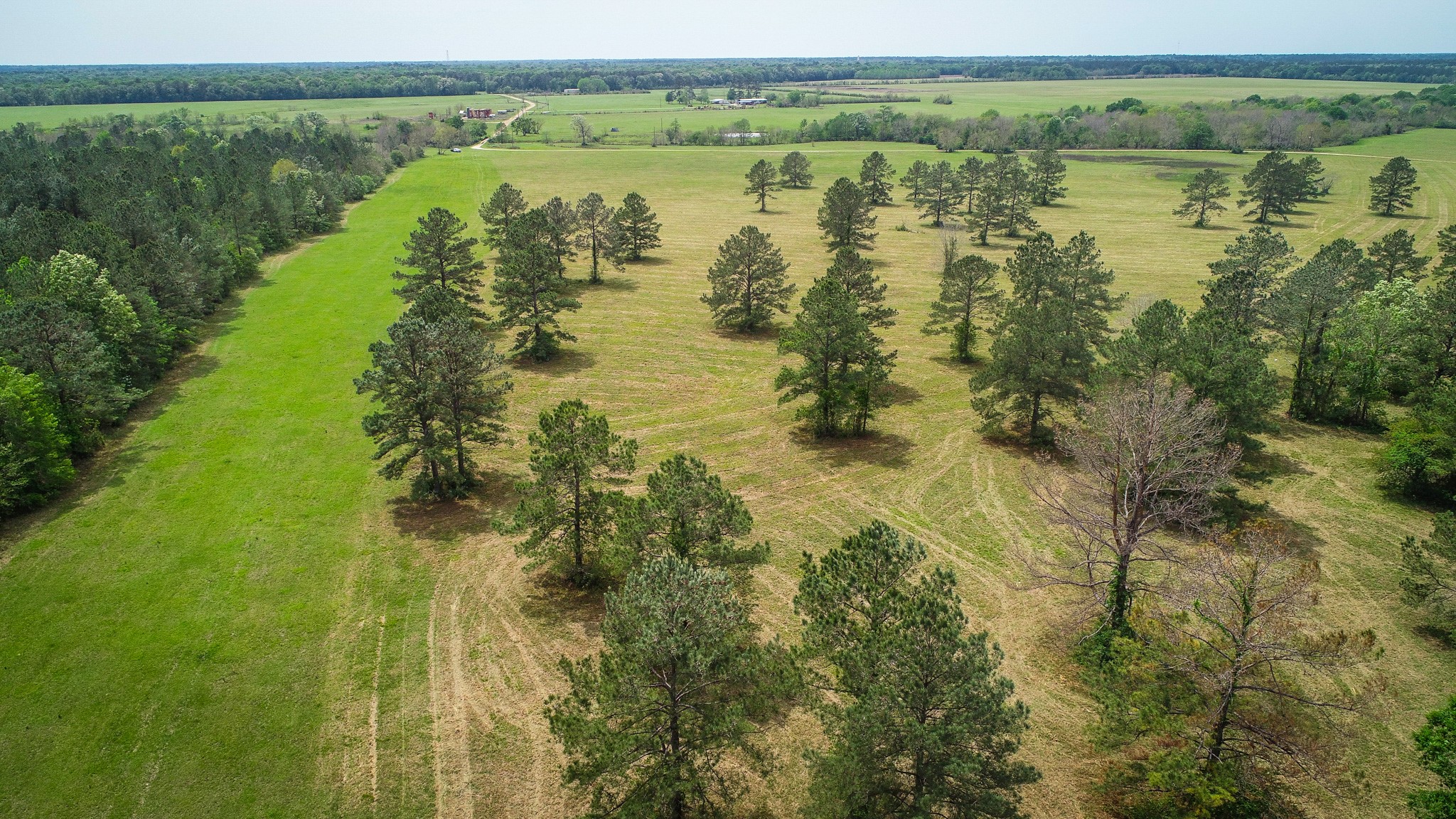 40902 Sh 105 Property Photo 6