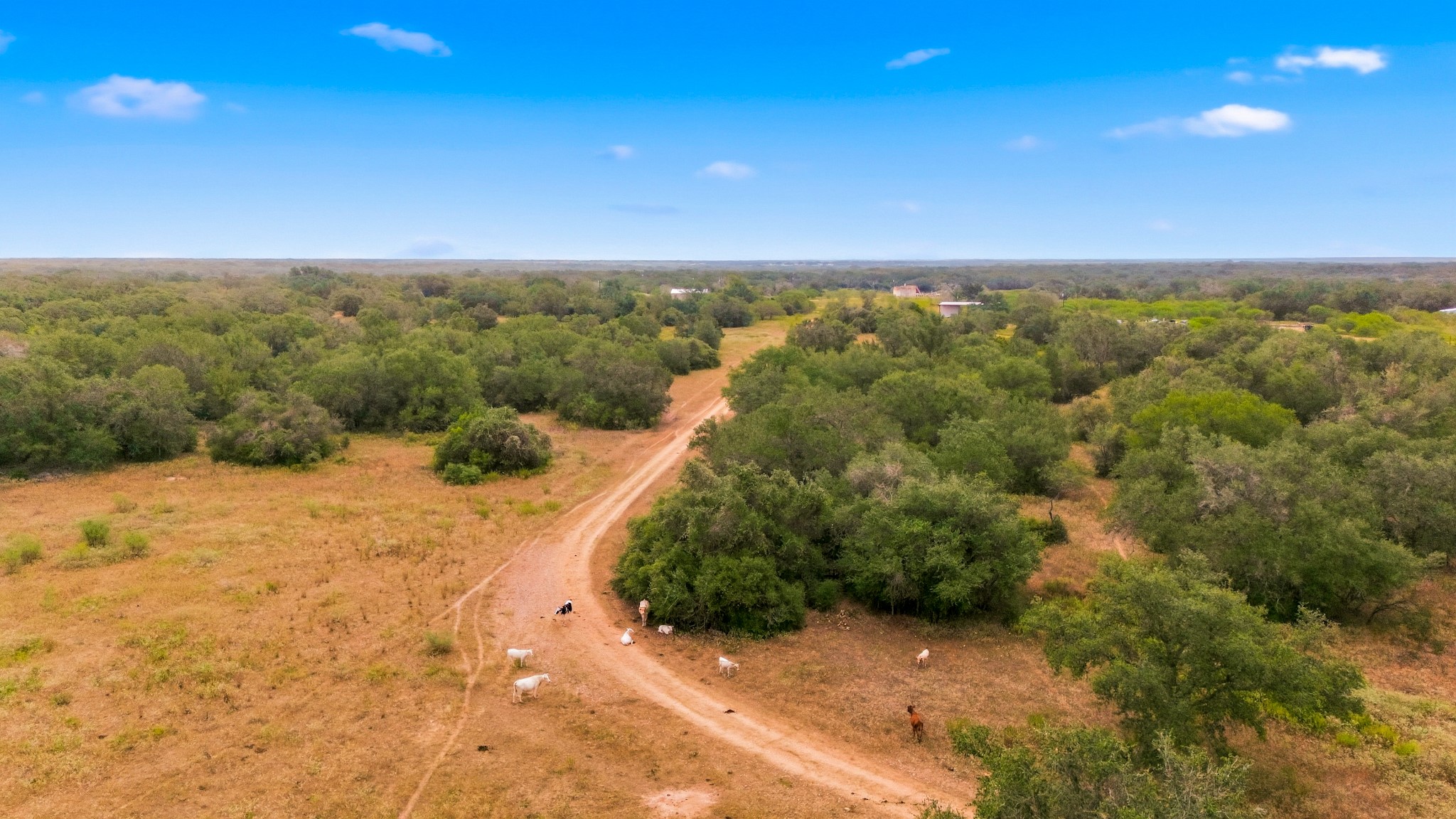 5108, 5110 Old Goliad Road Property Photo 1