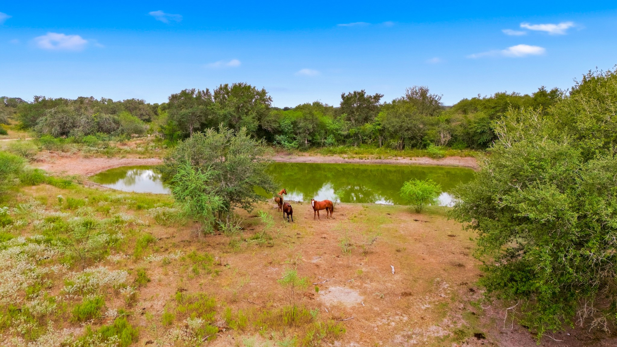 5108, 5110 Old Goliad Road Property Photo 2