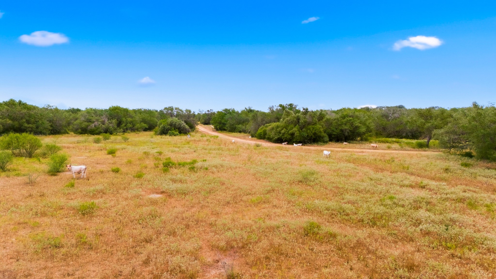 5108, 5110 Old Goliad Road Property Photo 8