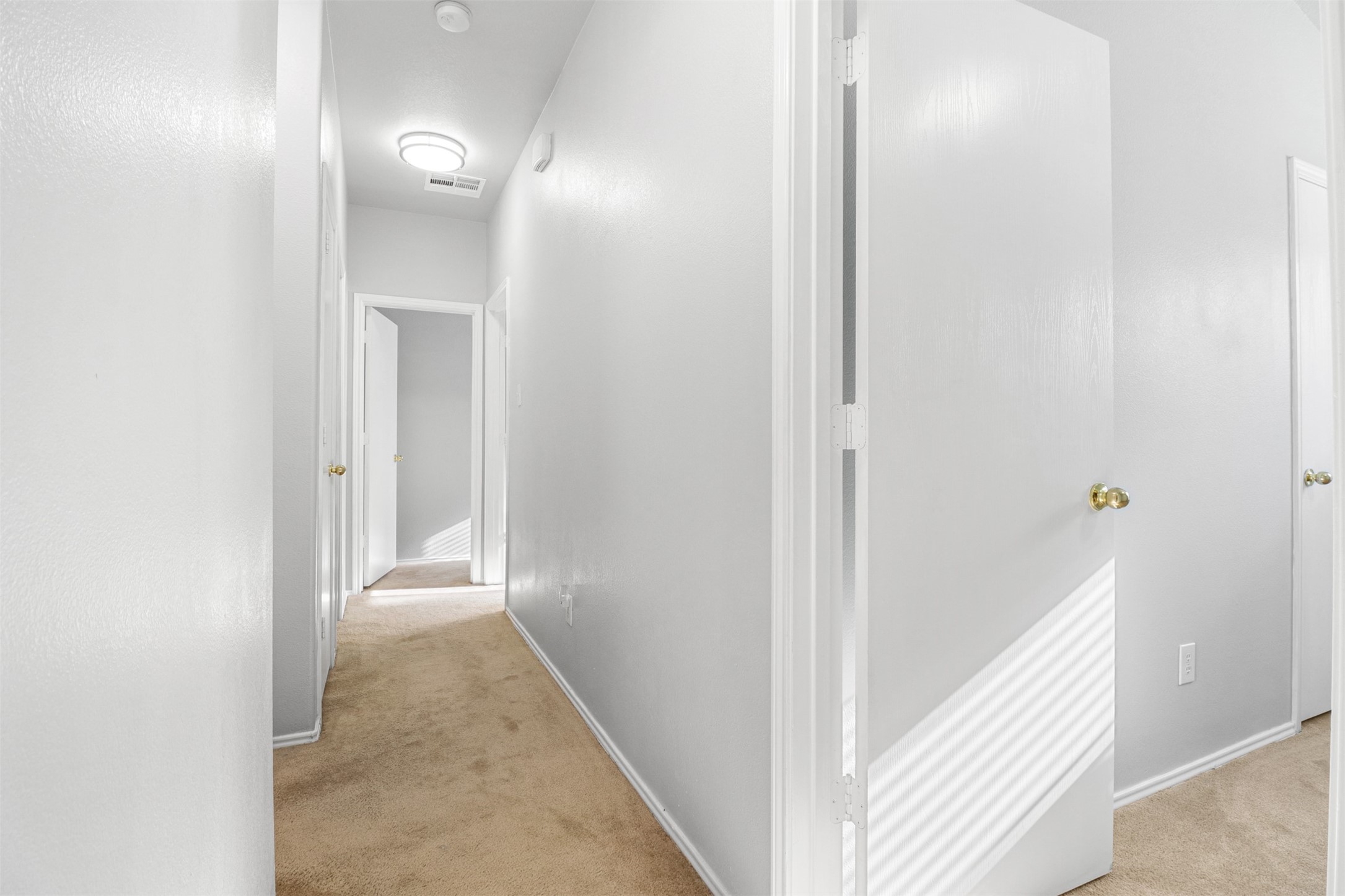 18218 Wild Orchid Drive Property Photo 16