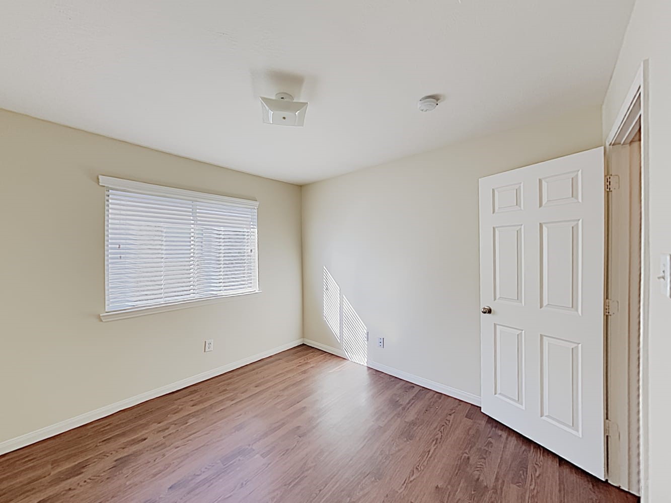 6002 Deep South Drive Property Photo 6