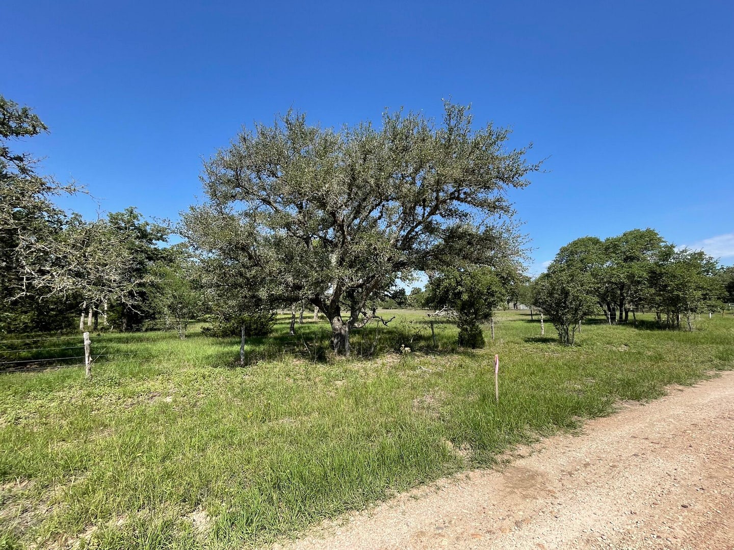 Lot 4 County Road 14 Property Photo