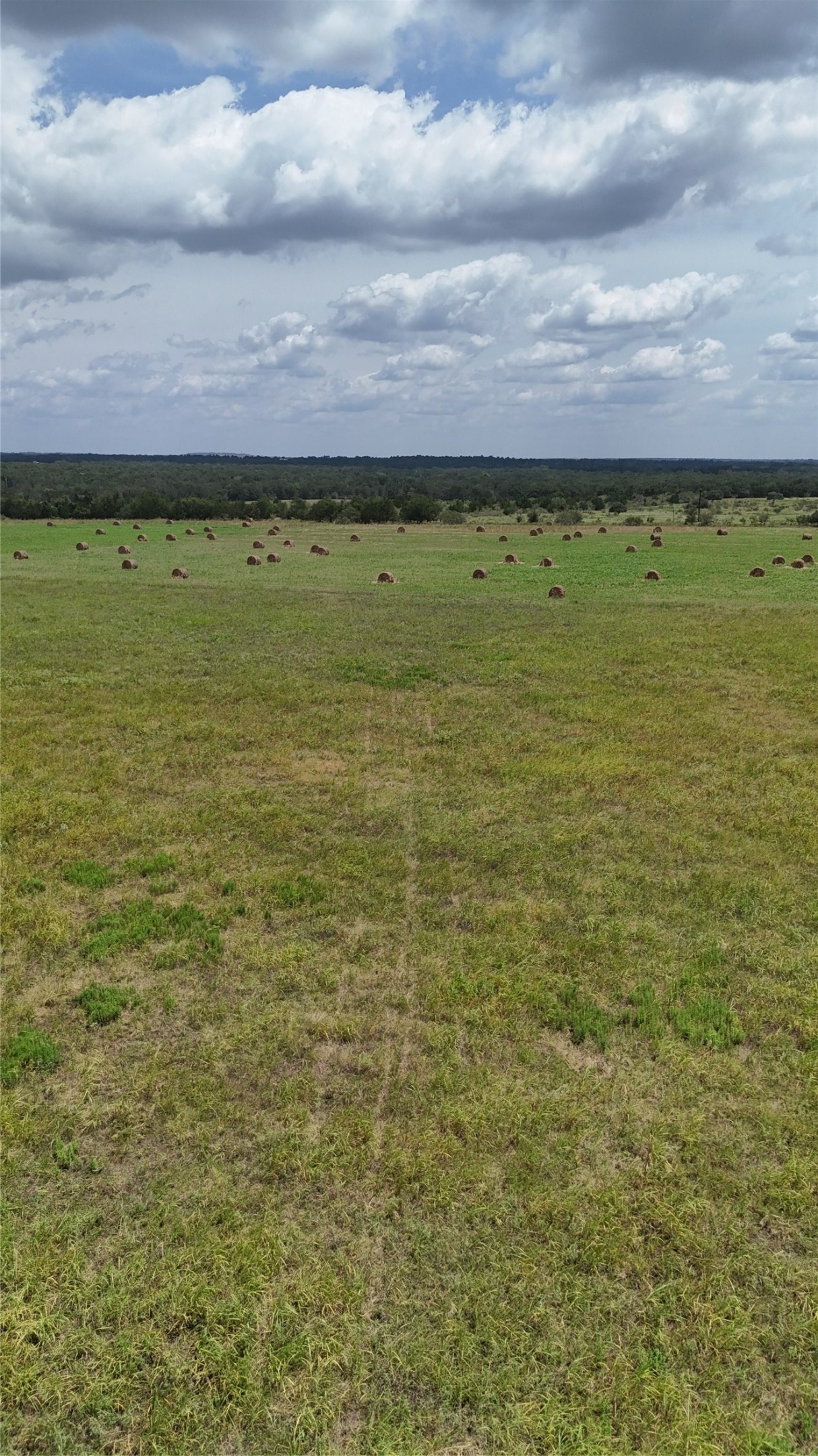 205 Saint Delight Road Property Photo 3