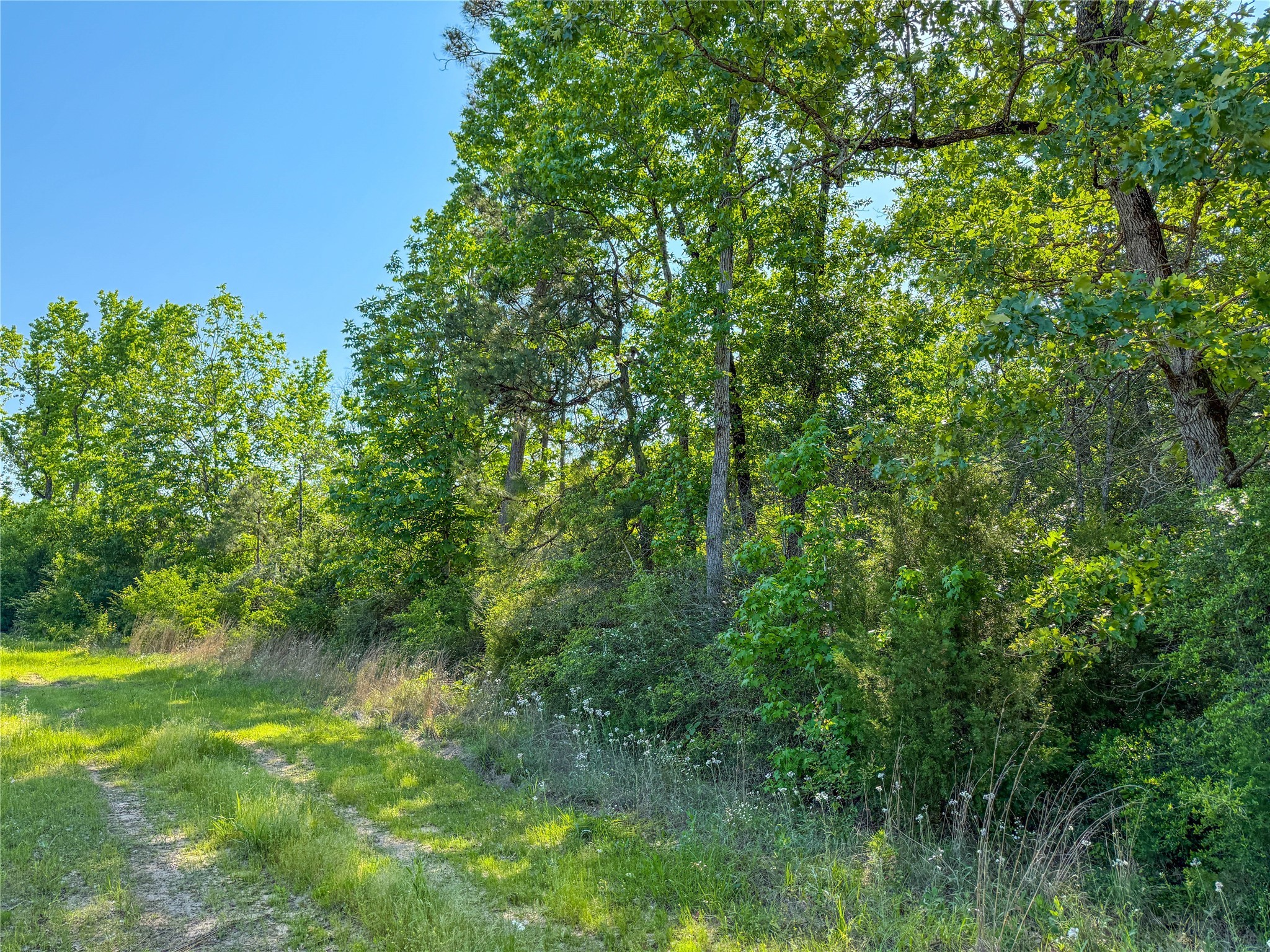 Tbd Hwy 69 Property Photo