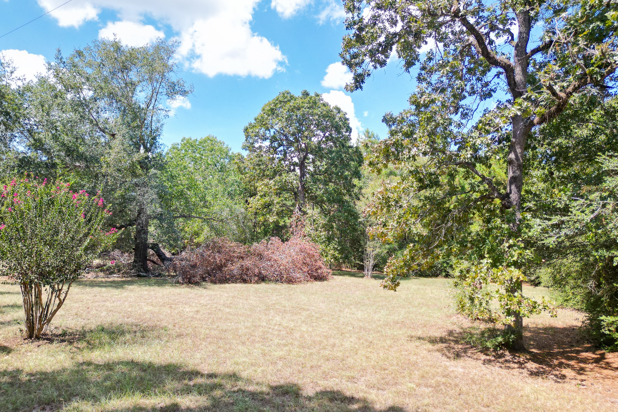 7 Pine Trail Property Photo 2