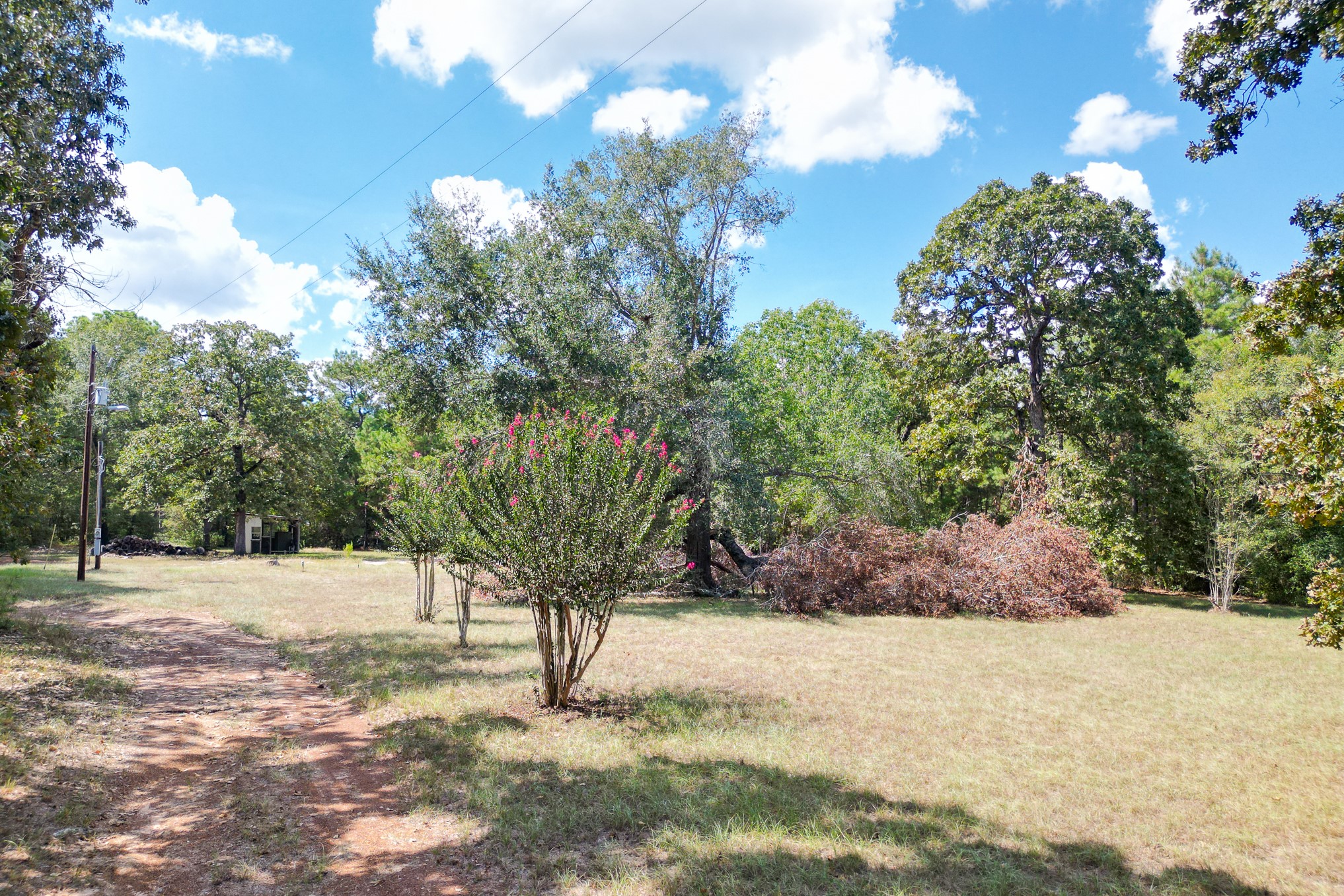 7 Pine Trail Property Photo 3