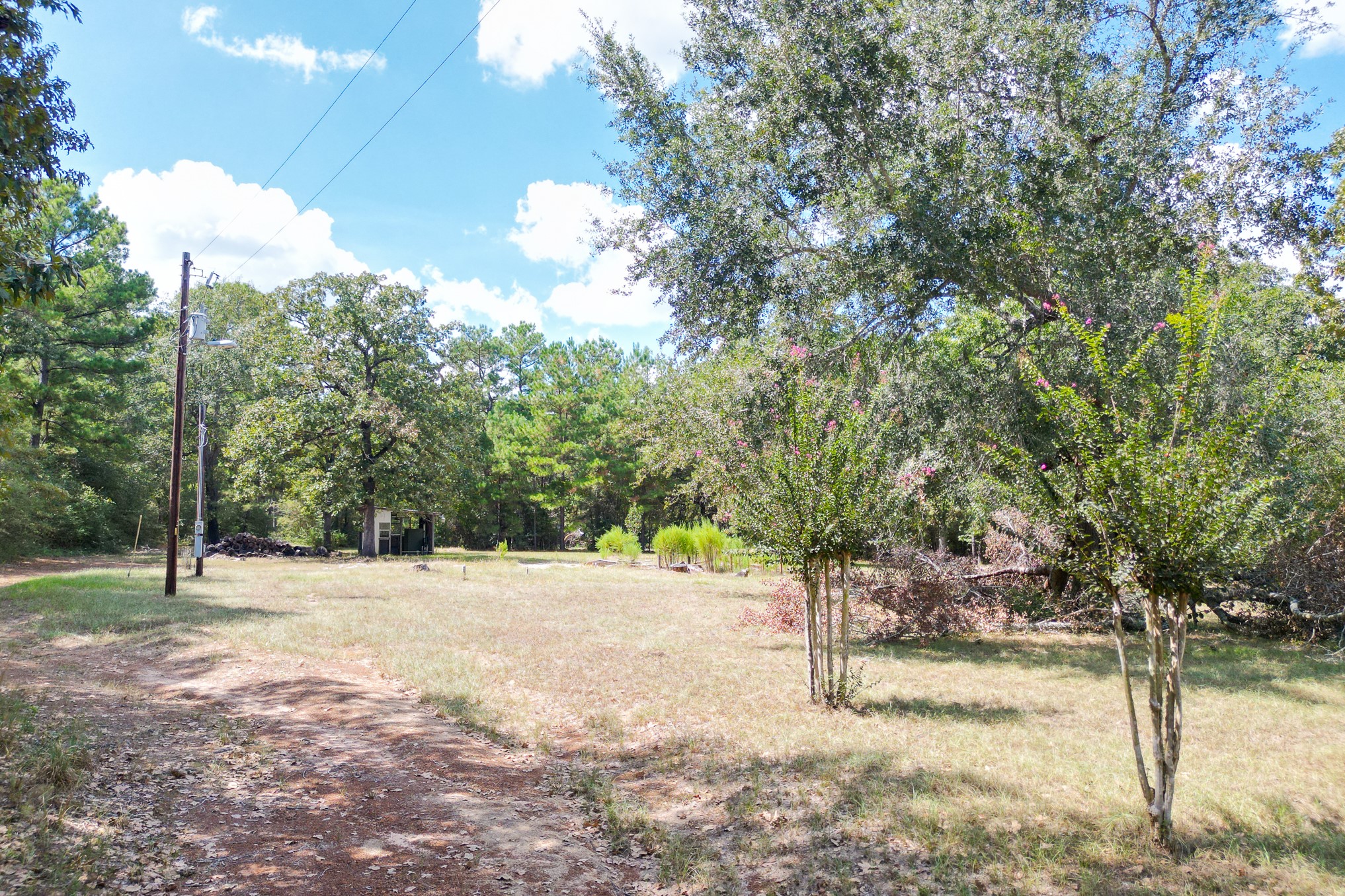 7 Pine Trail Property Photo 5