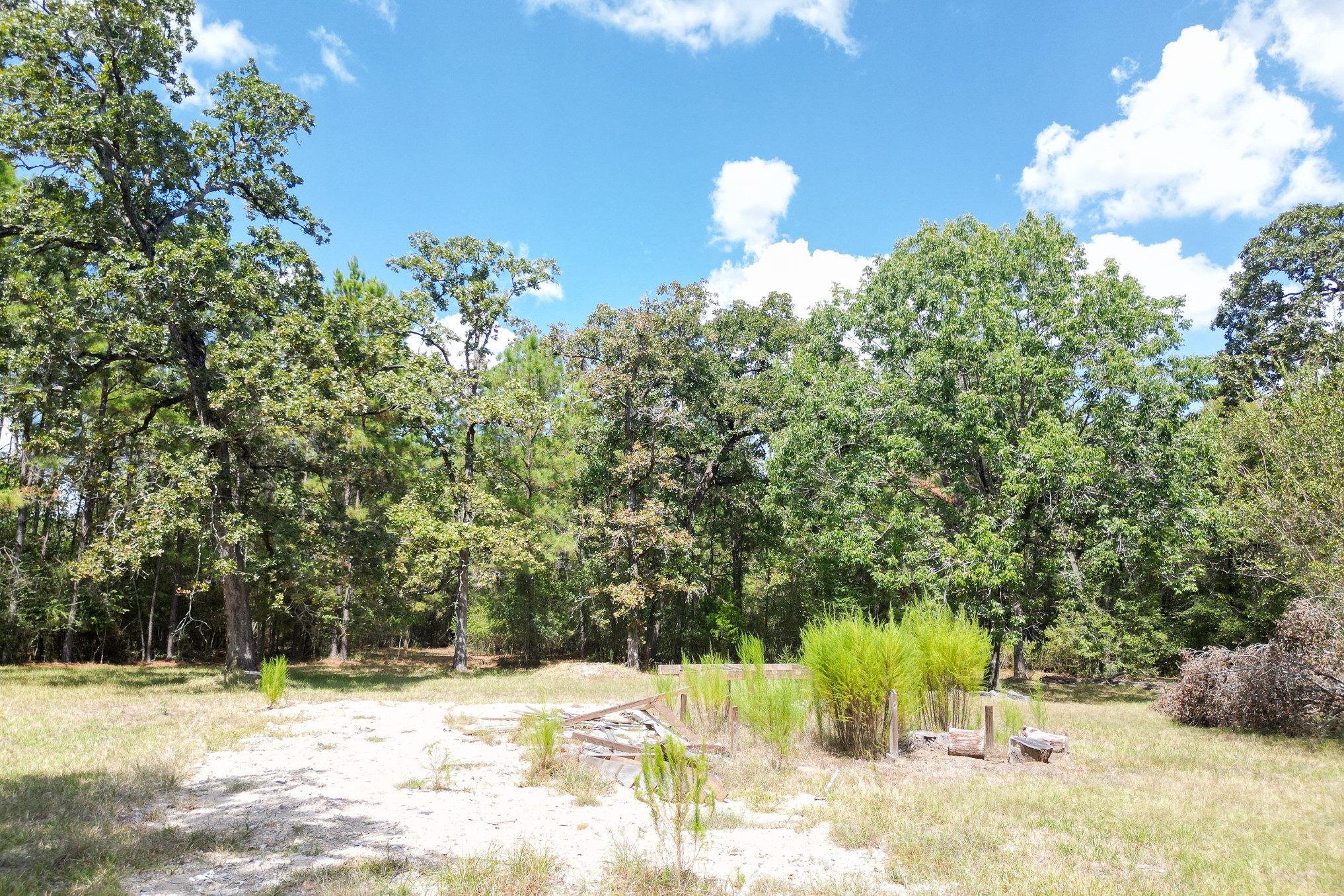 7 Pine Trail Property Photo 11