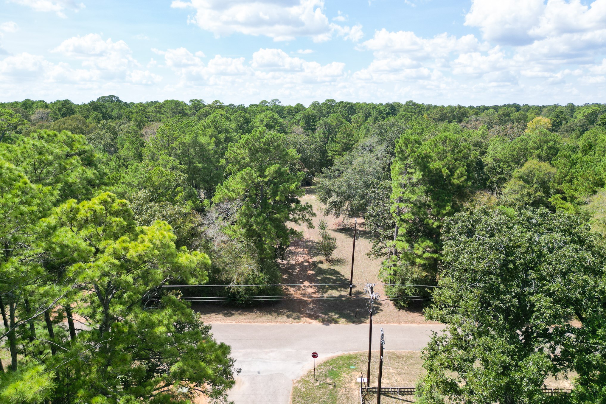 7 Pine Trail Property Photo 15