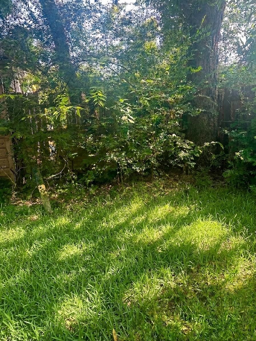 1605 W Johnson Street Property Photo 25