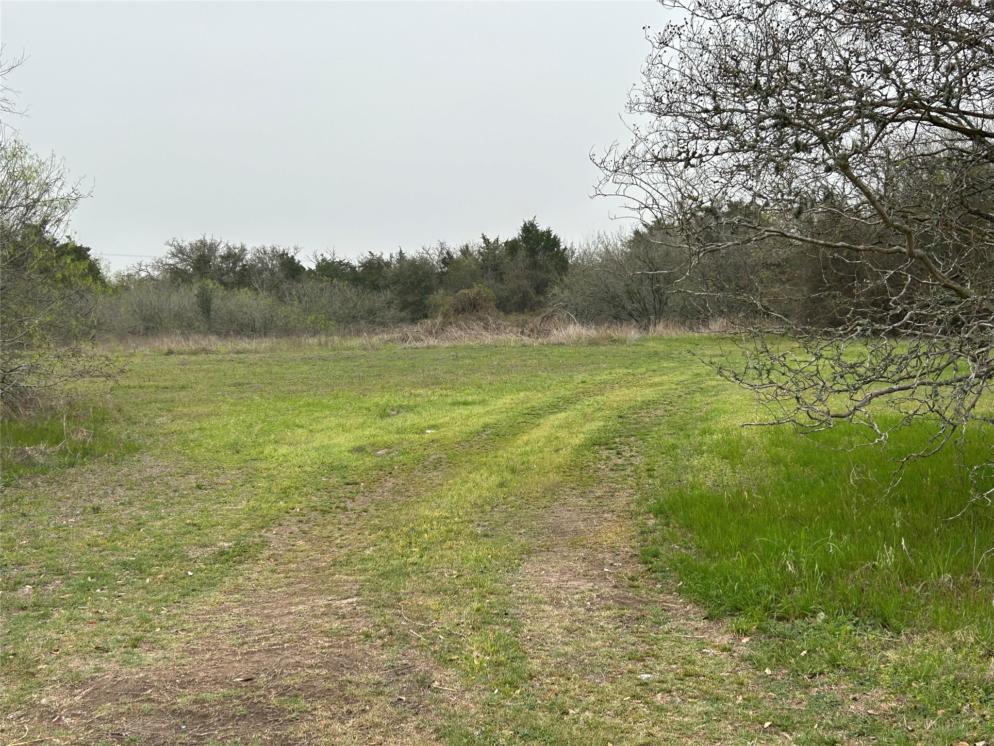 Tbd Lot 1 W Boundary Street Property Photo 3