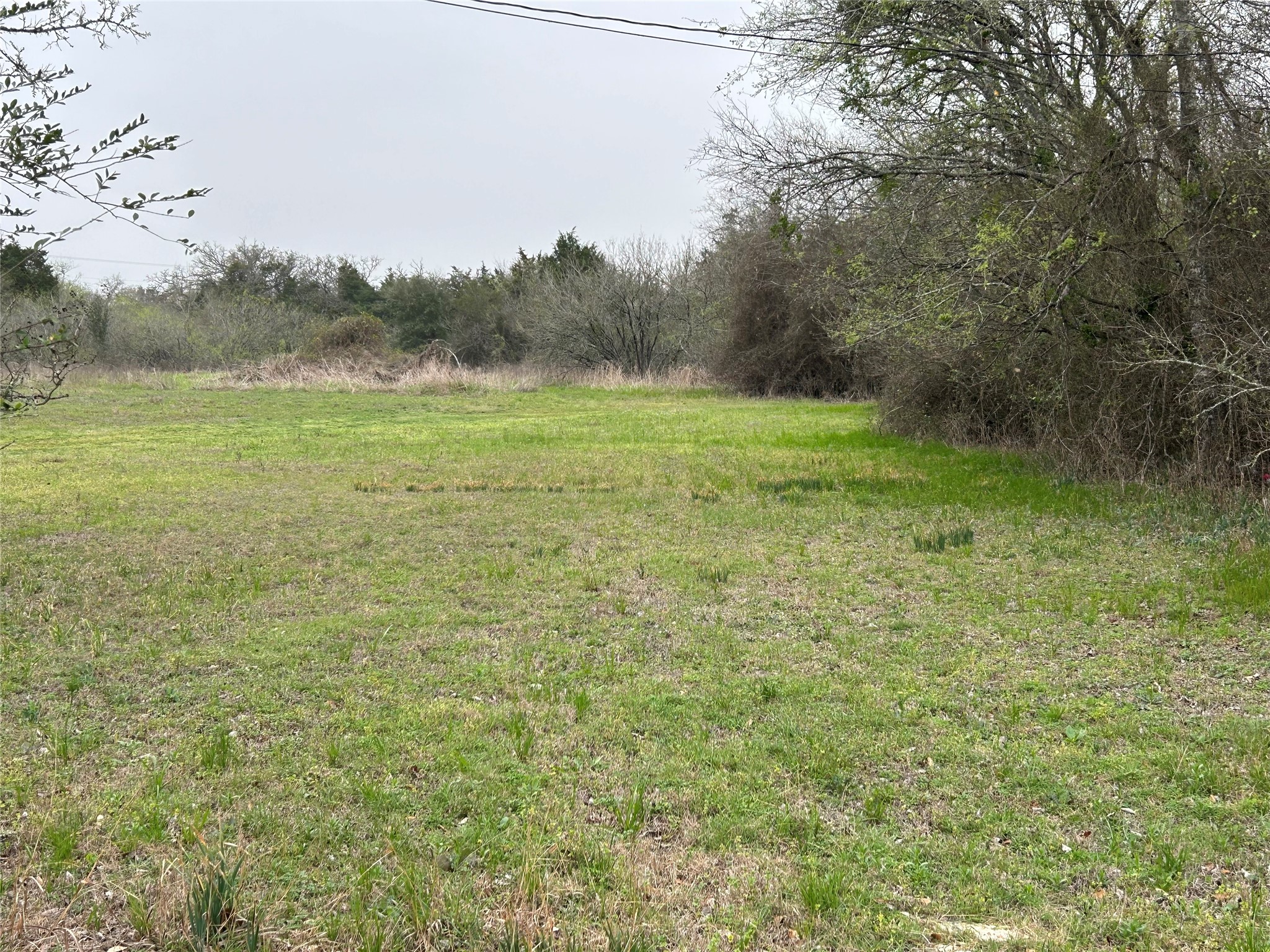 Tbd Lot 1 W Boundary Street Property Photo 5