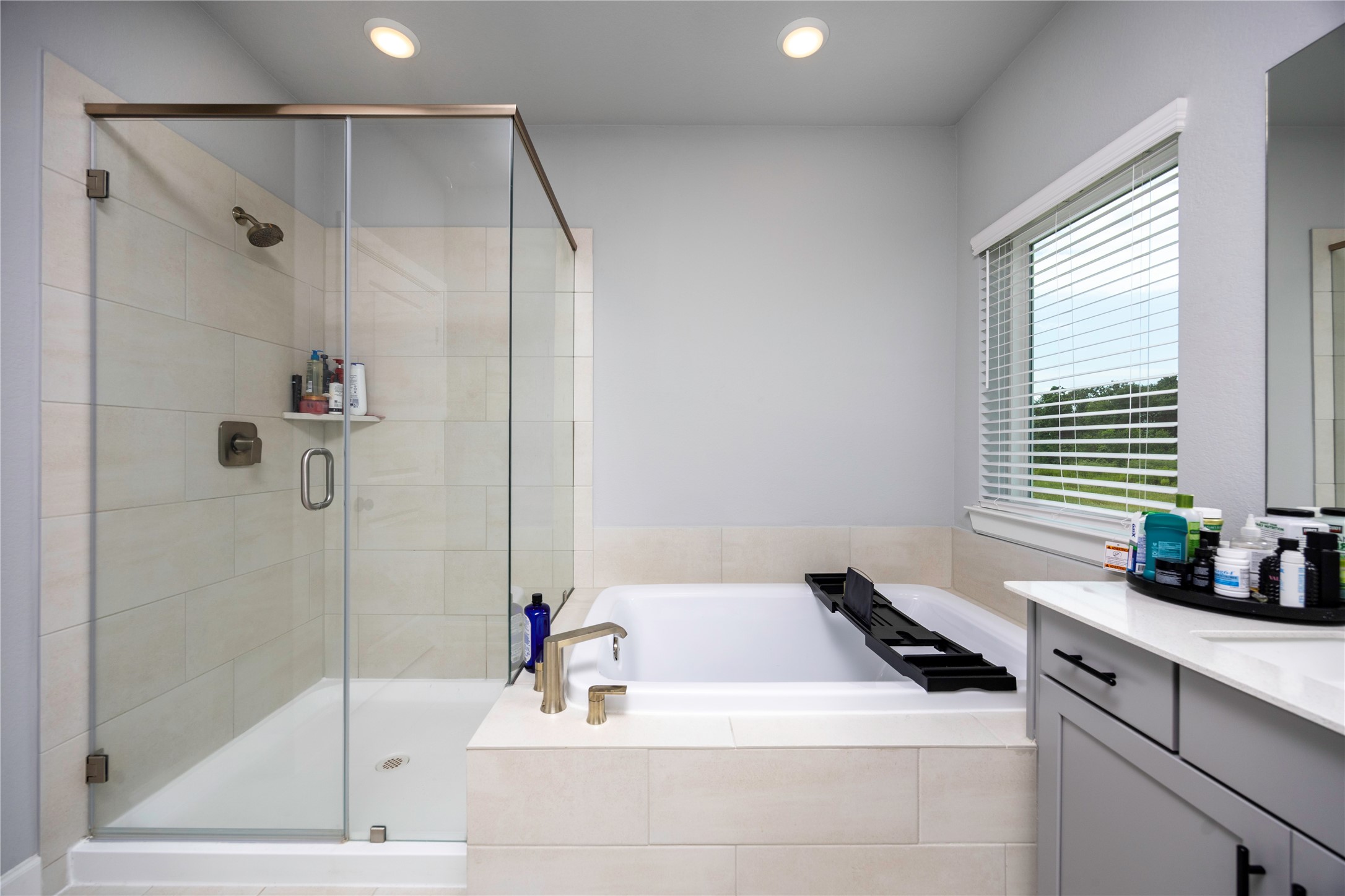 11702 Claro Forest Lane Property Photo 25
